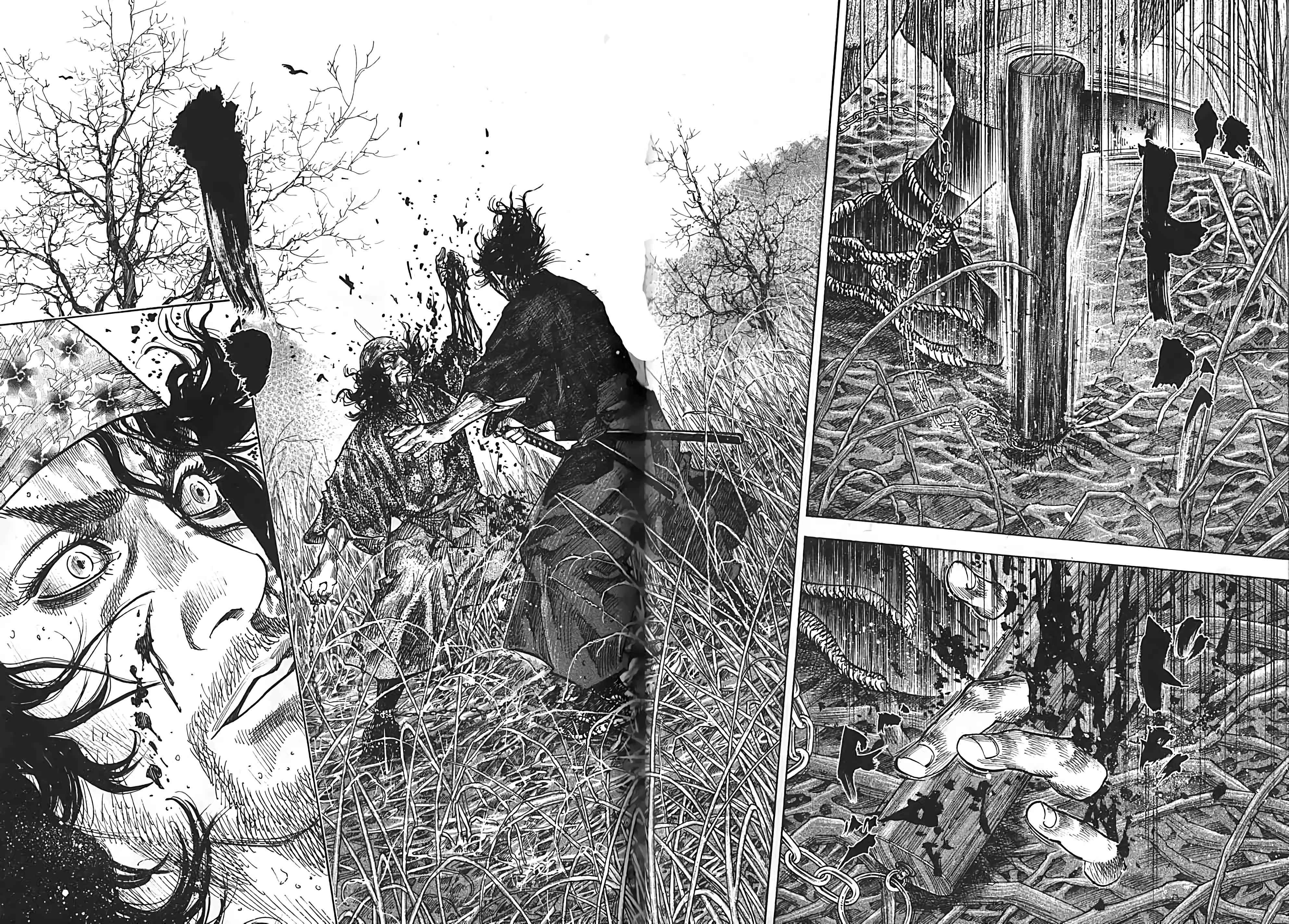 Read Vagabond FR Manga Online