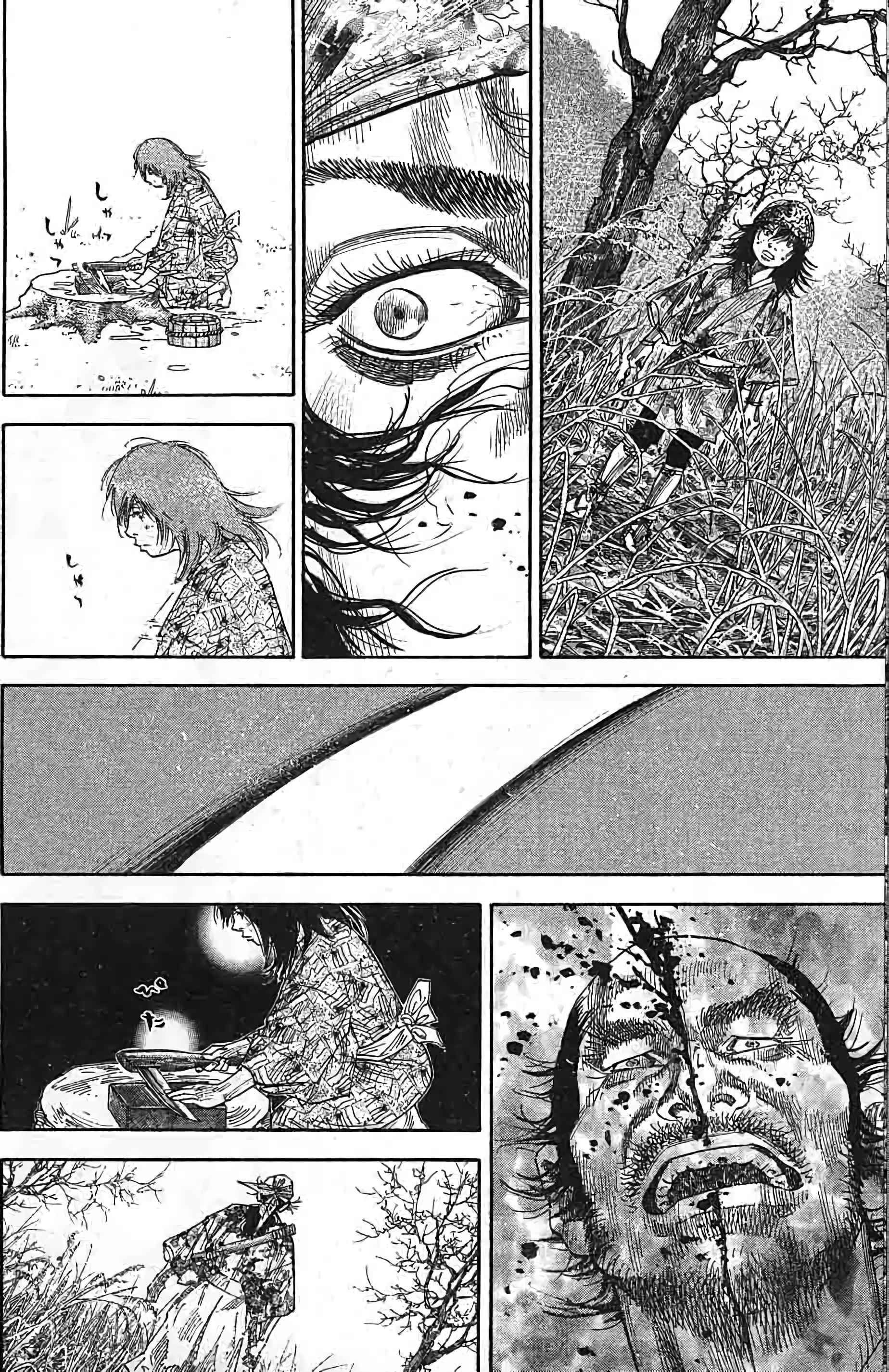 Read Vagabond FR Manga Online