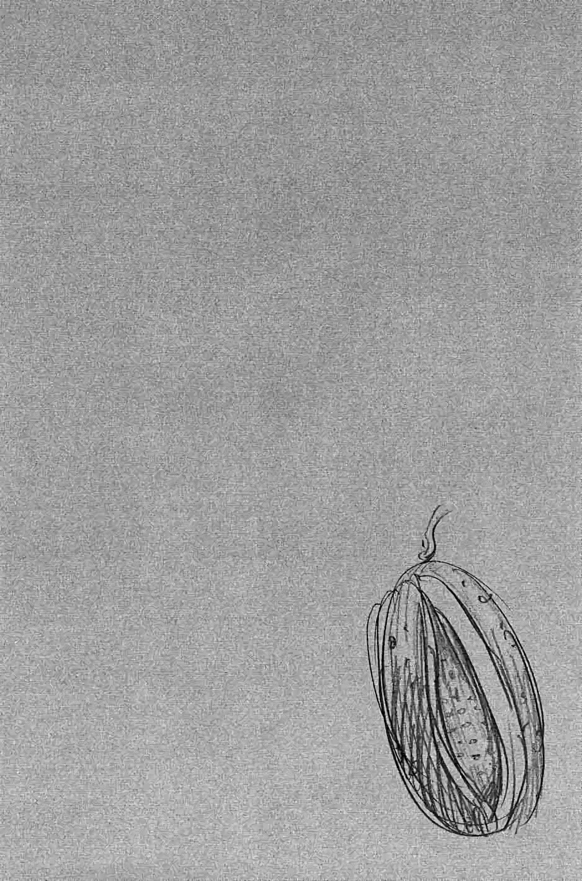 Read Vagabond FR Manga Online