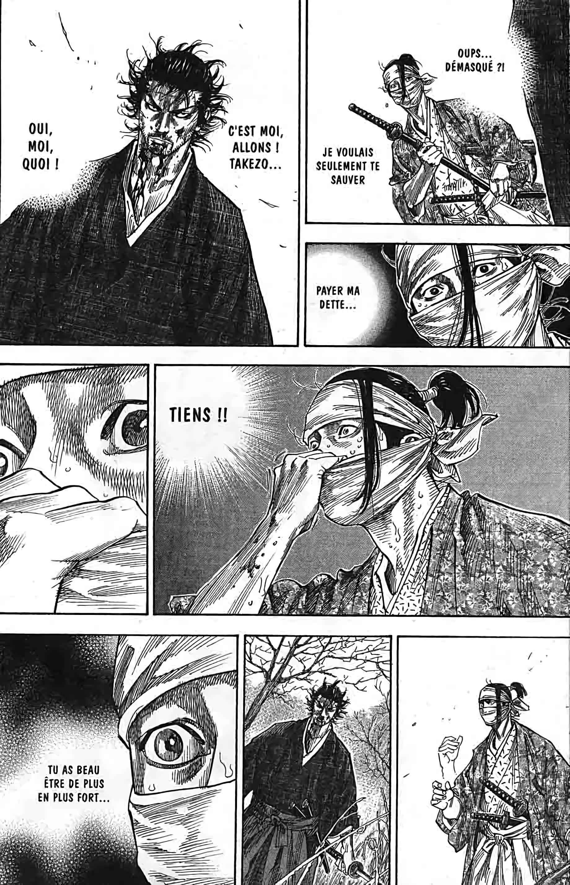 Read Vagabond FR Manga Online