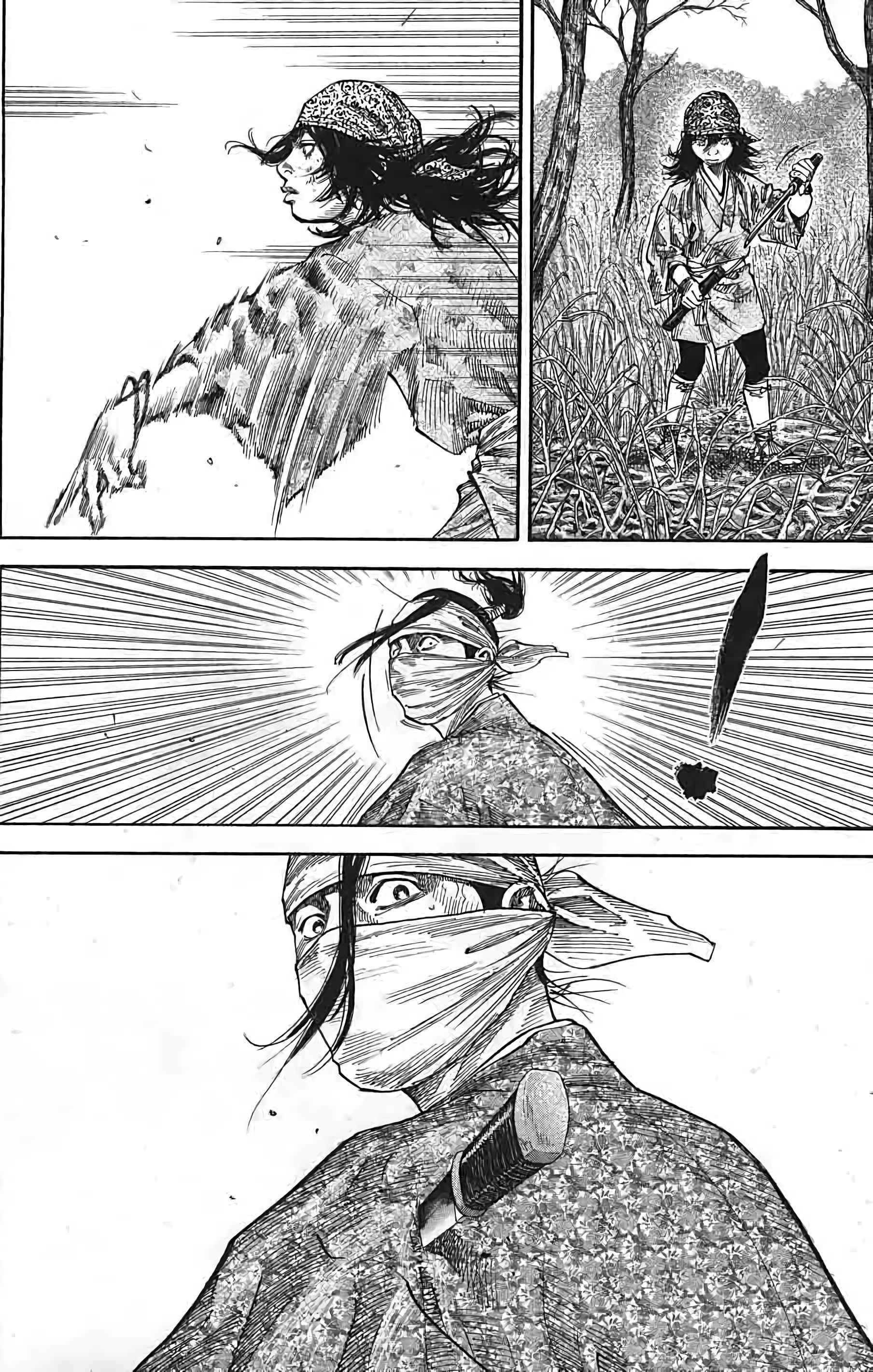 Read Vagabond FR Manga Online