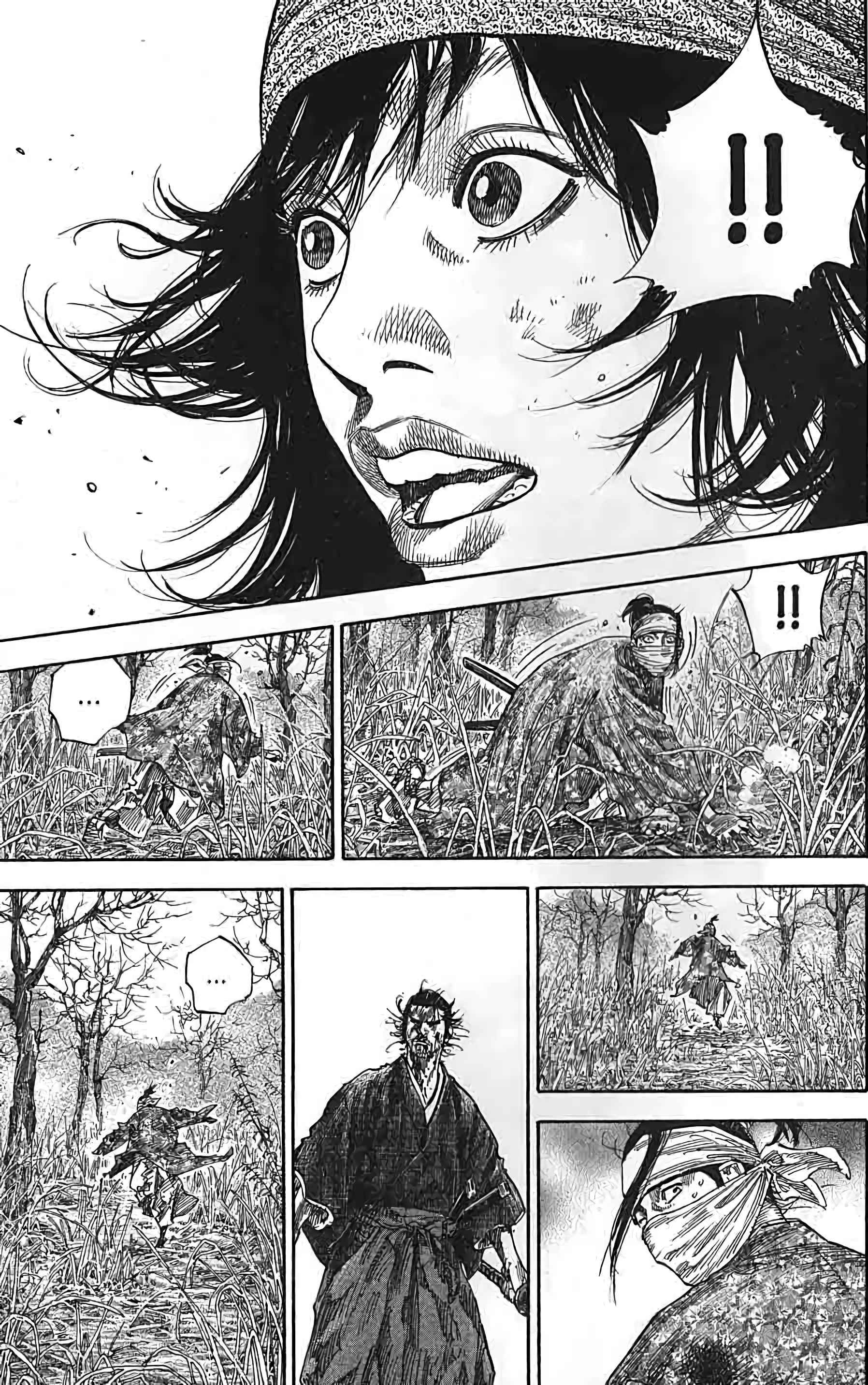 Read Vagabond FR Manga Online