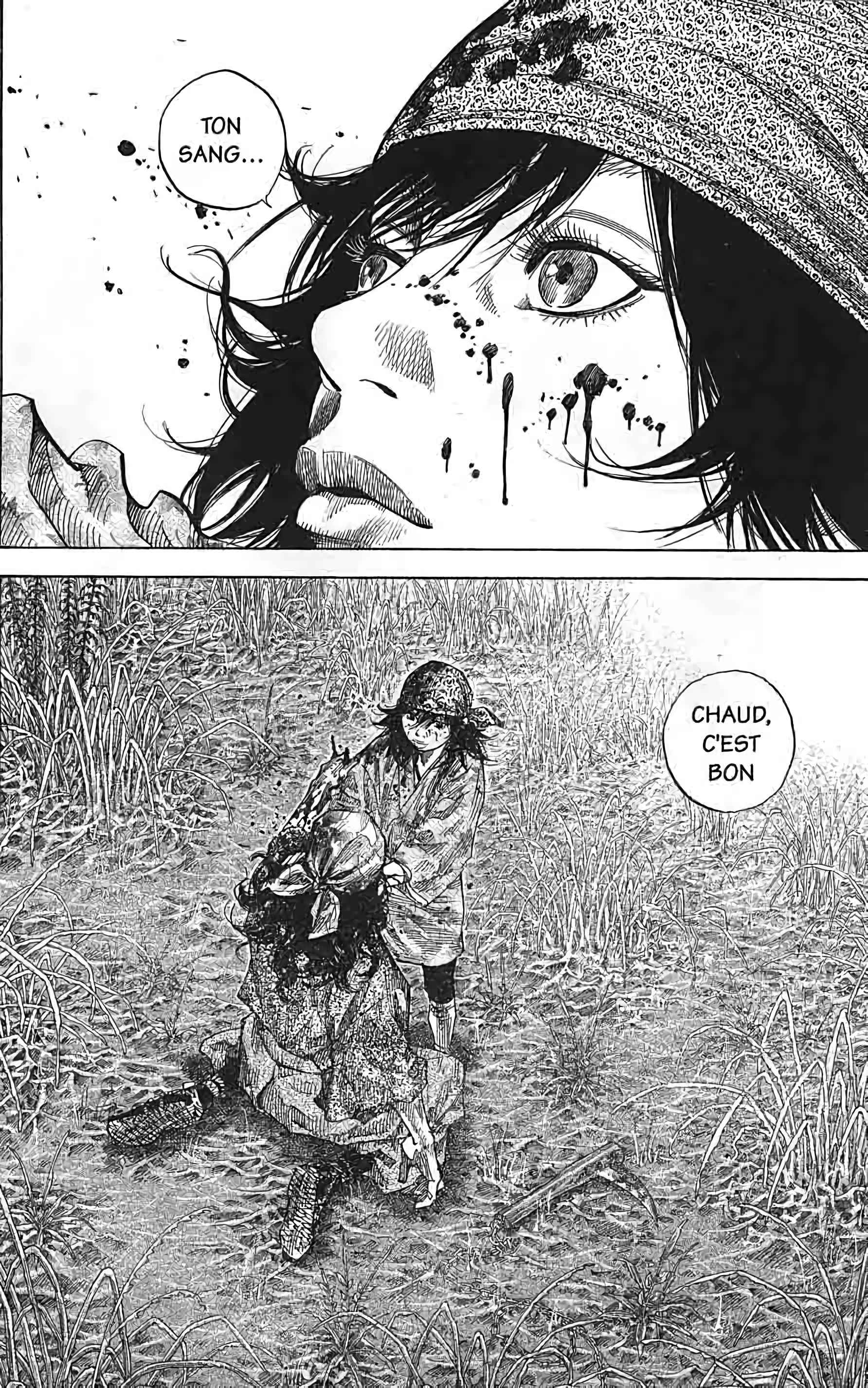 Read Vagabond FR Manga Online