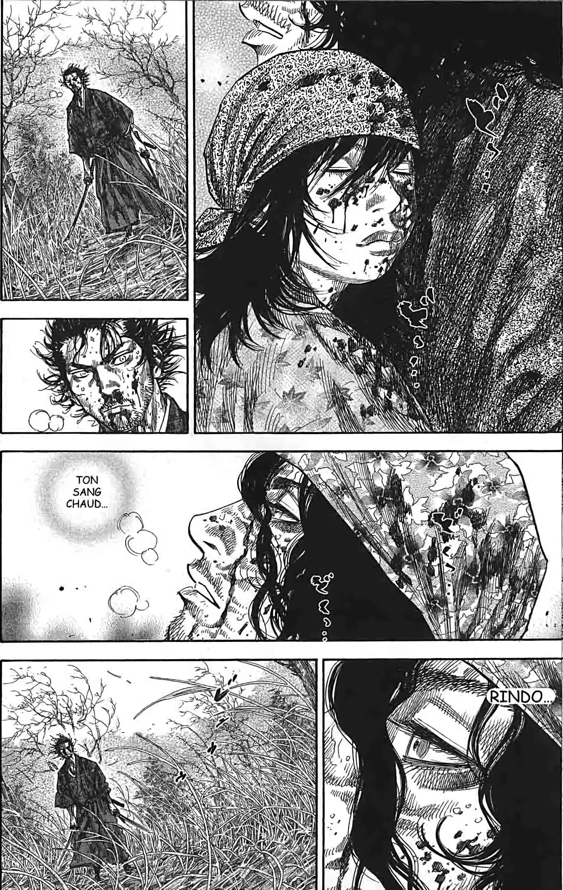 Read Vagabond FR Manga Online