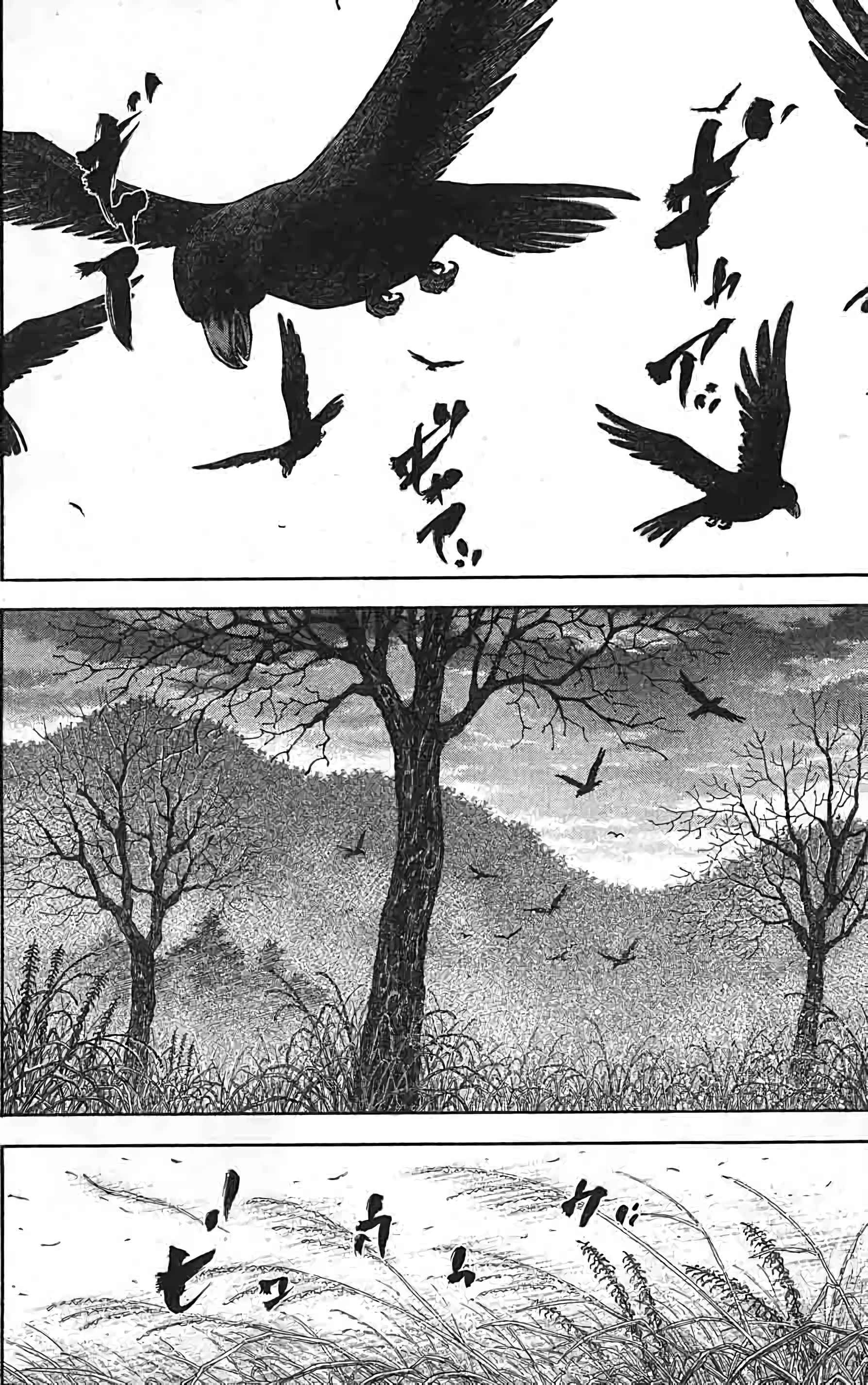 Read Vagabond FR Manga Online