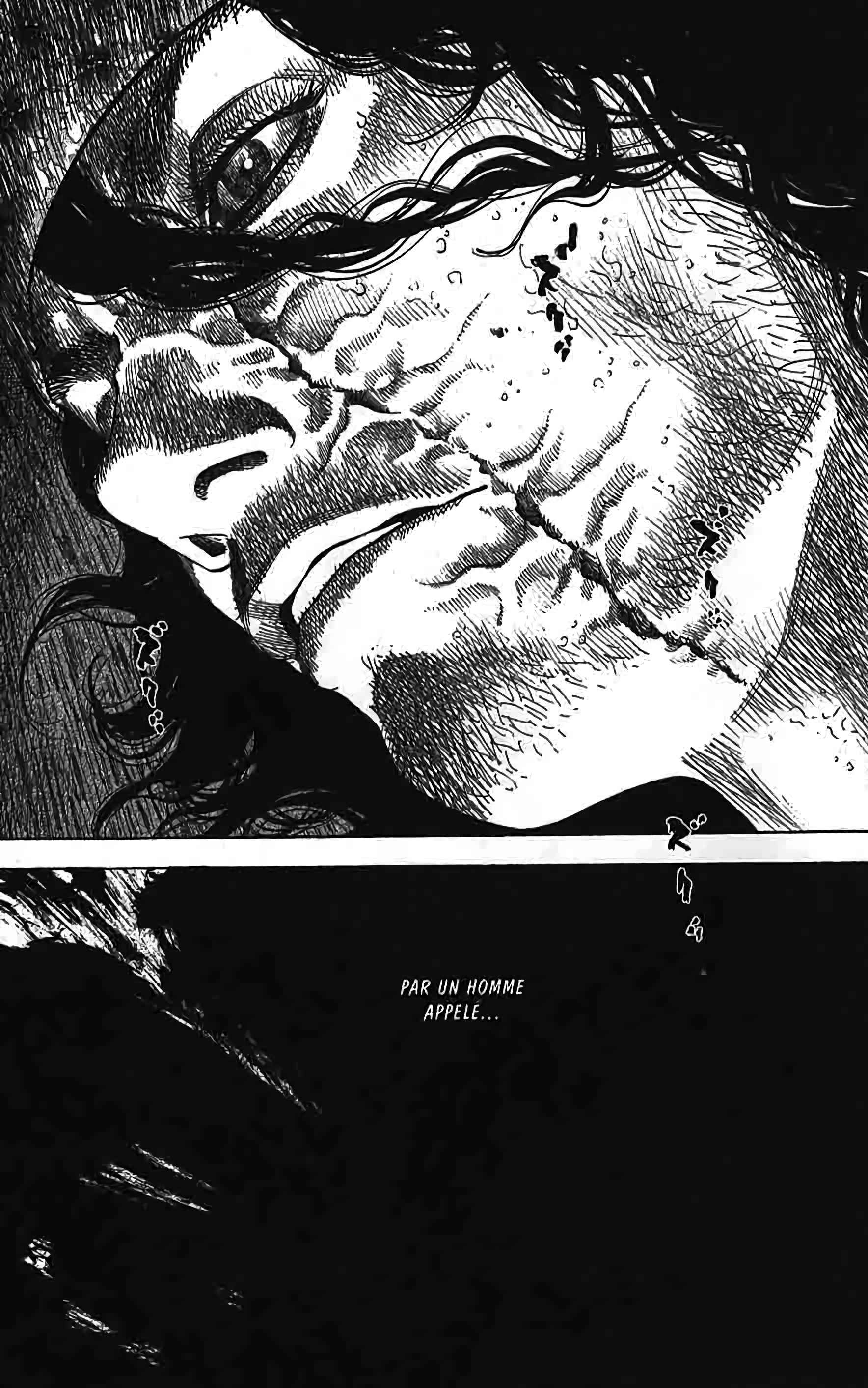 Read Vagabond FR Manga Online