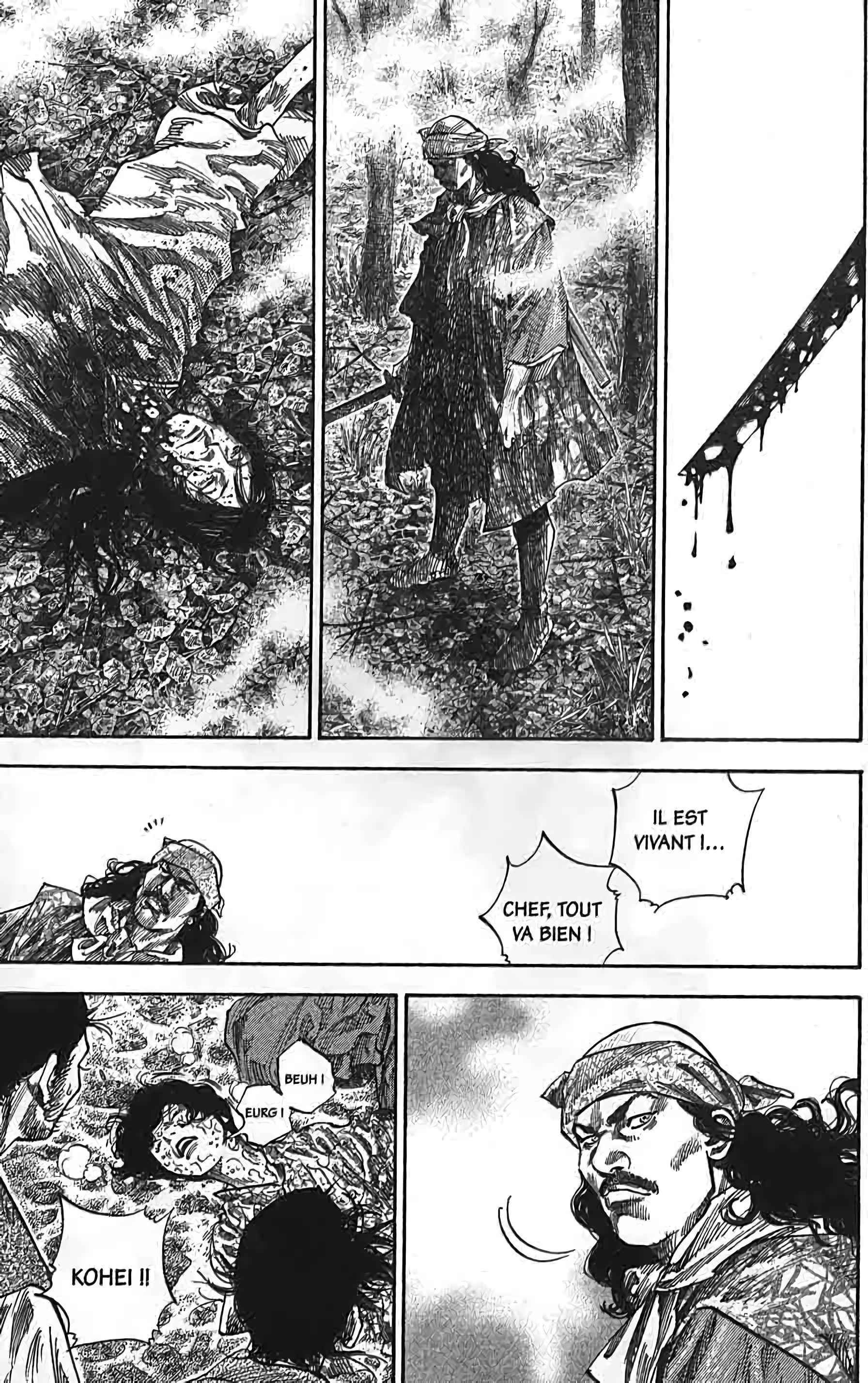 Read Vagabond FR Manga Online