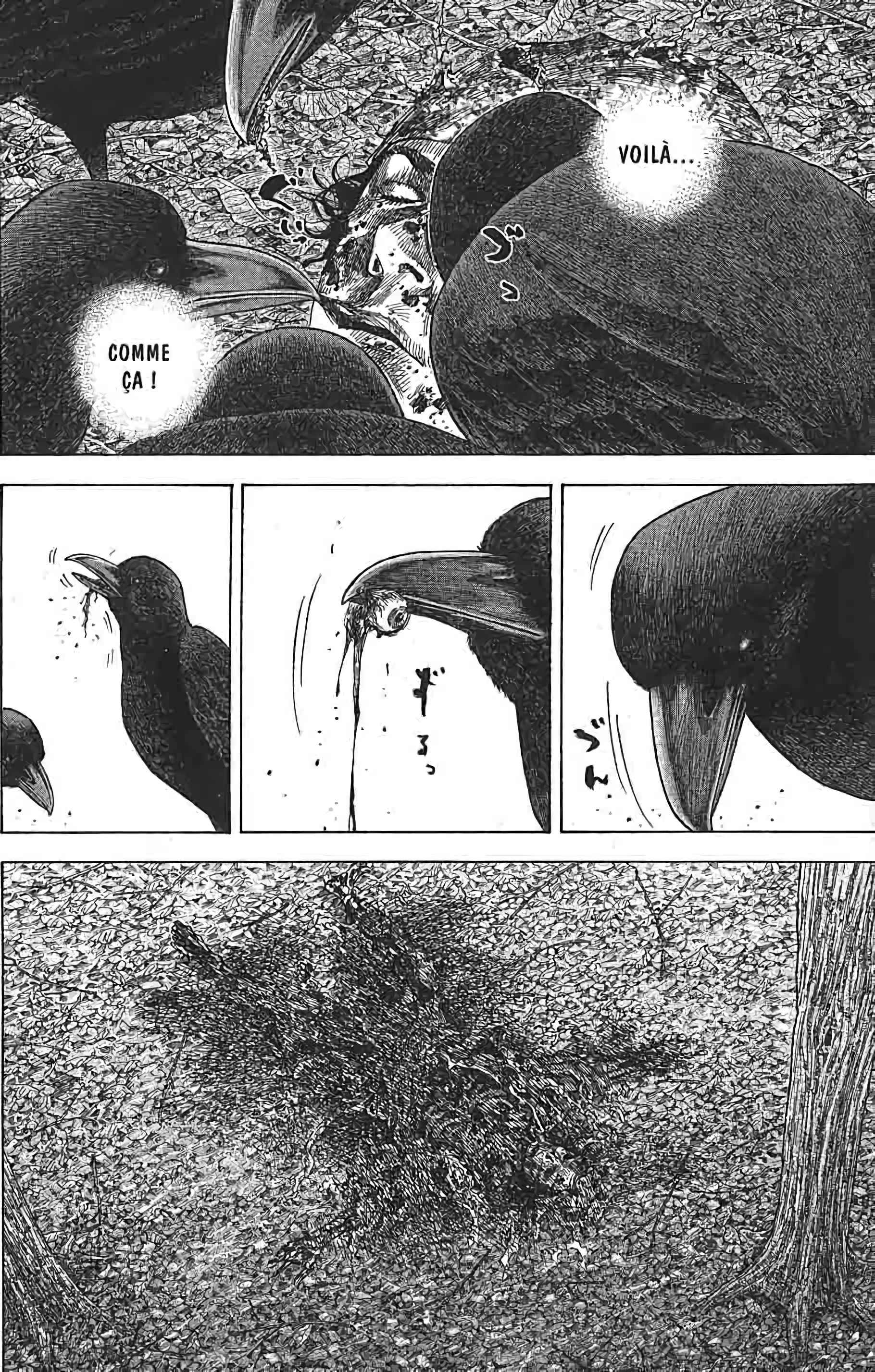 Read Vagabond FR Manga Online