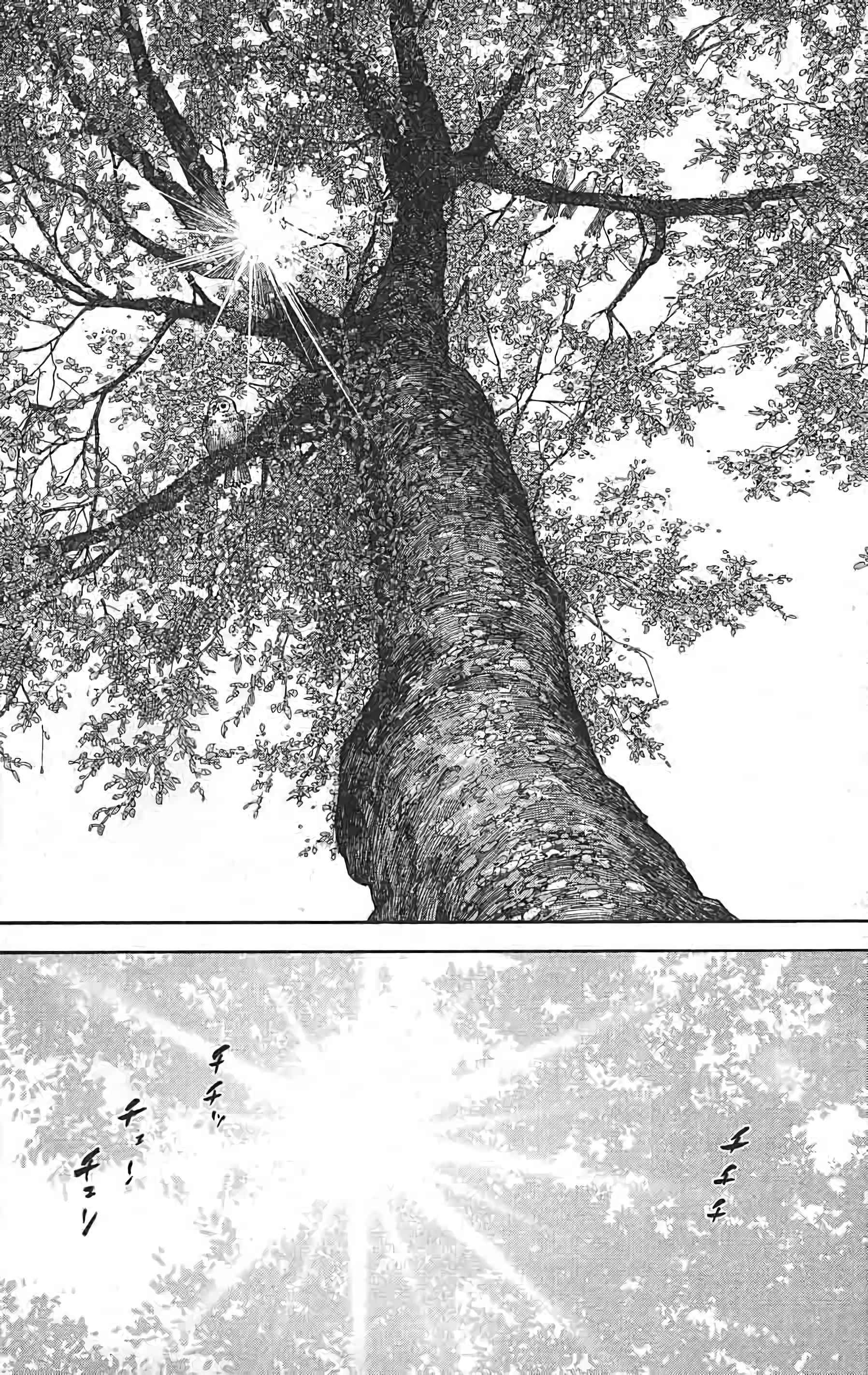 Read Vagabond FR Manga Online