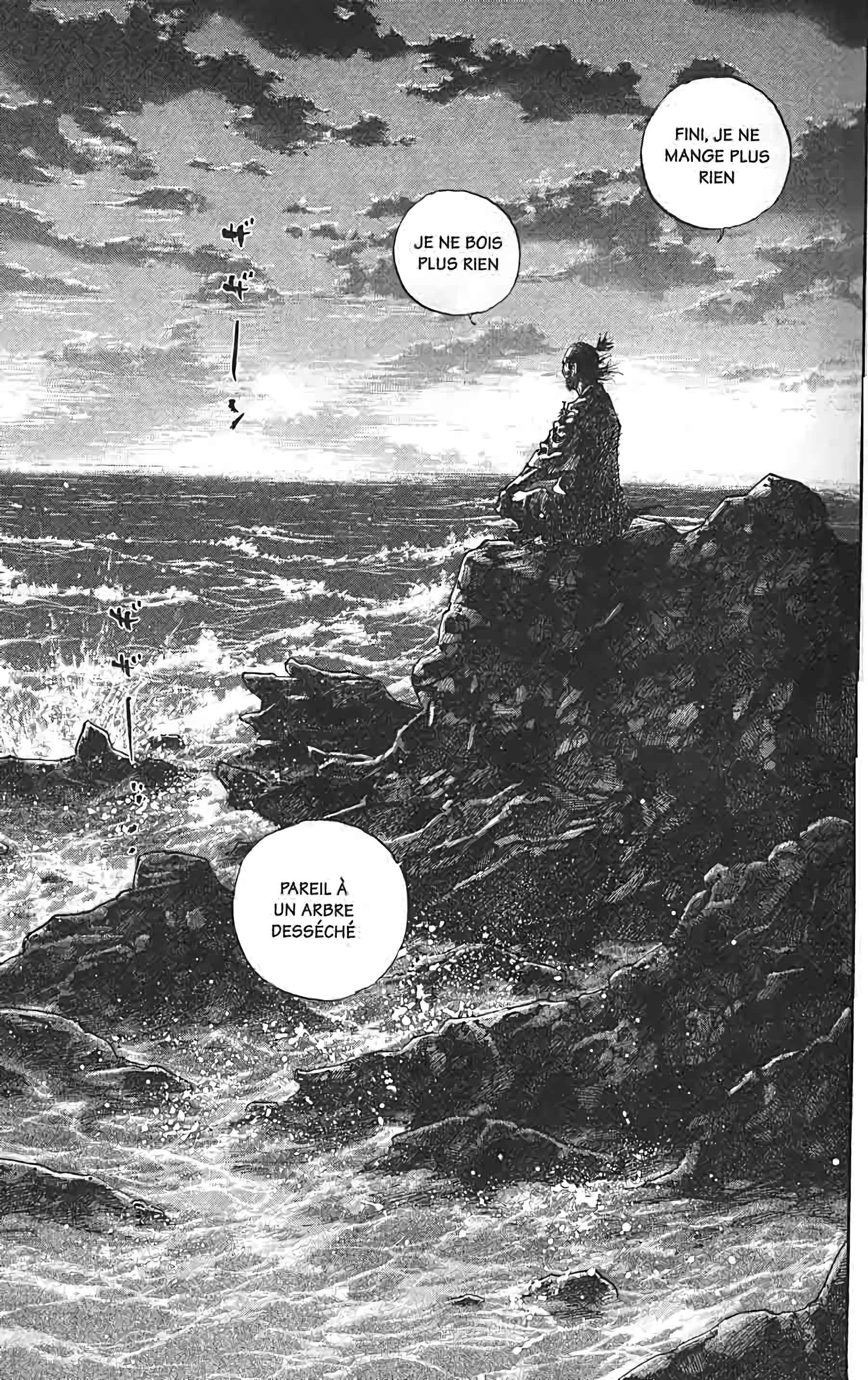 Read Vagabond FR Manga Online