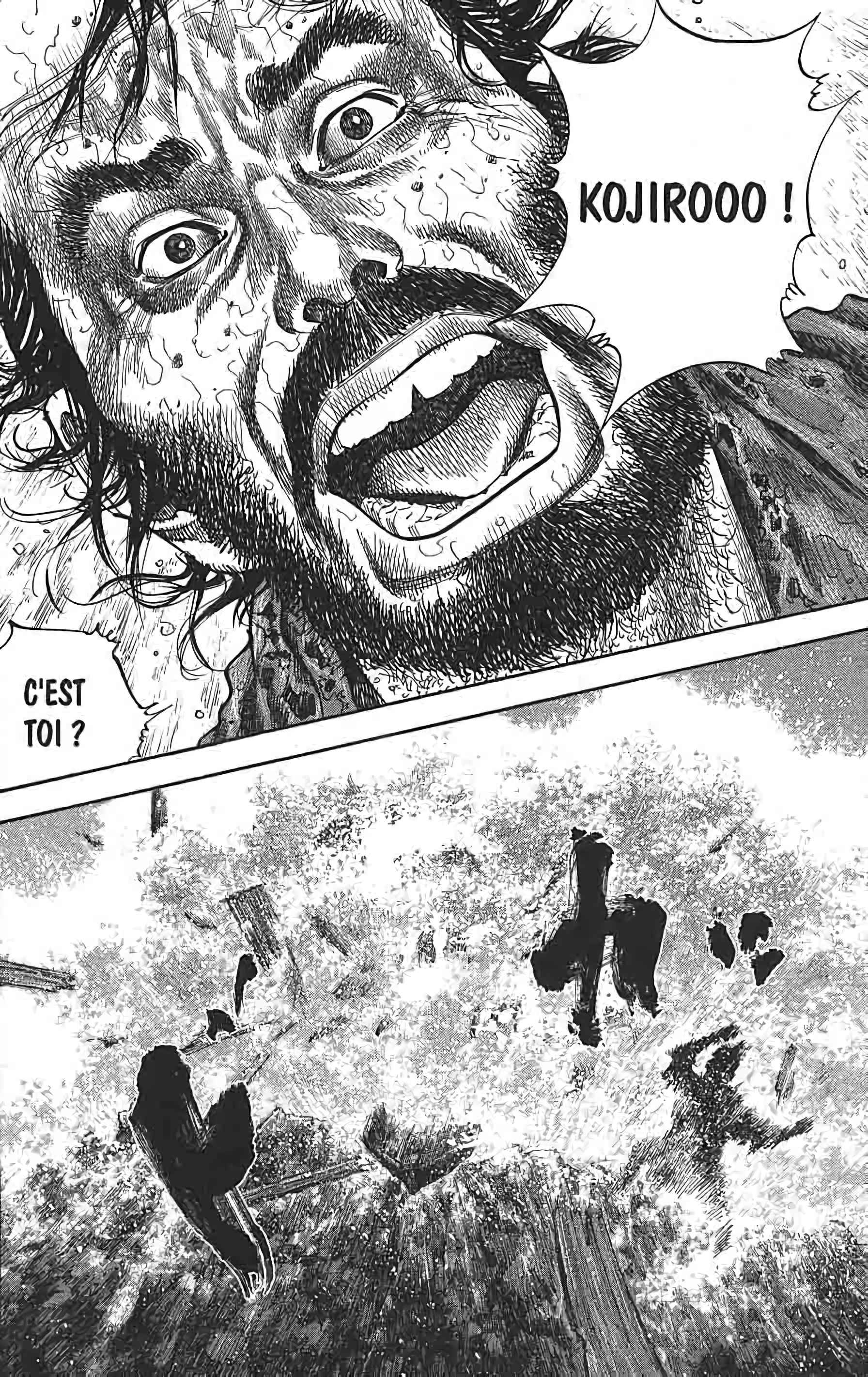 Read Vagabond FR Manga Online