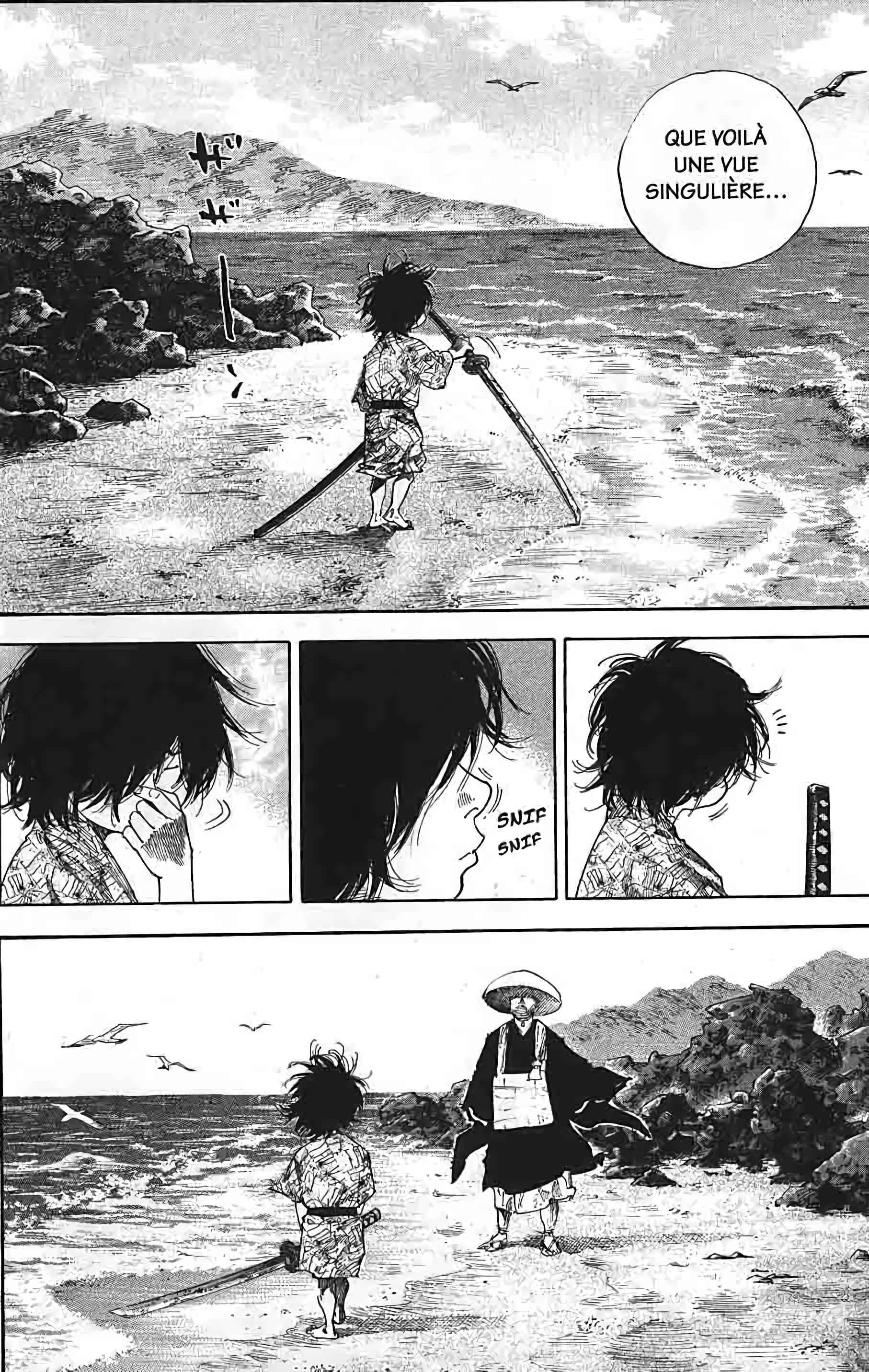 Read Vagabond FR Manga Online