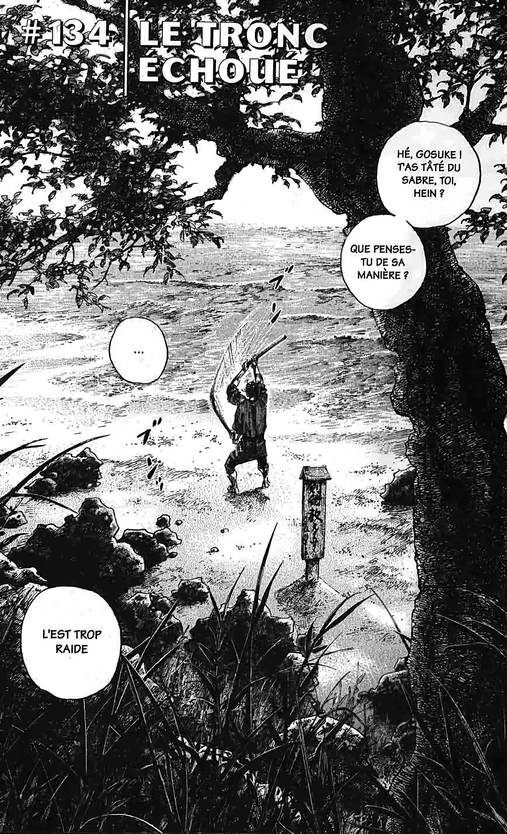 Read Vagabond FR Manga Online