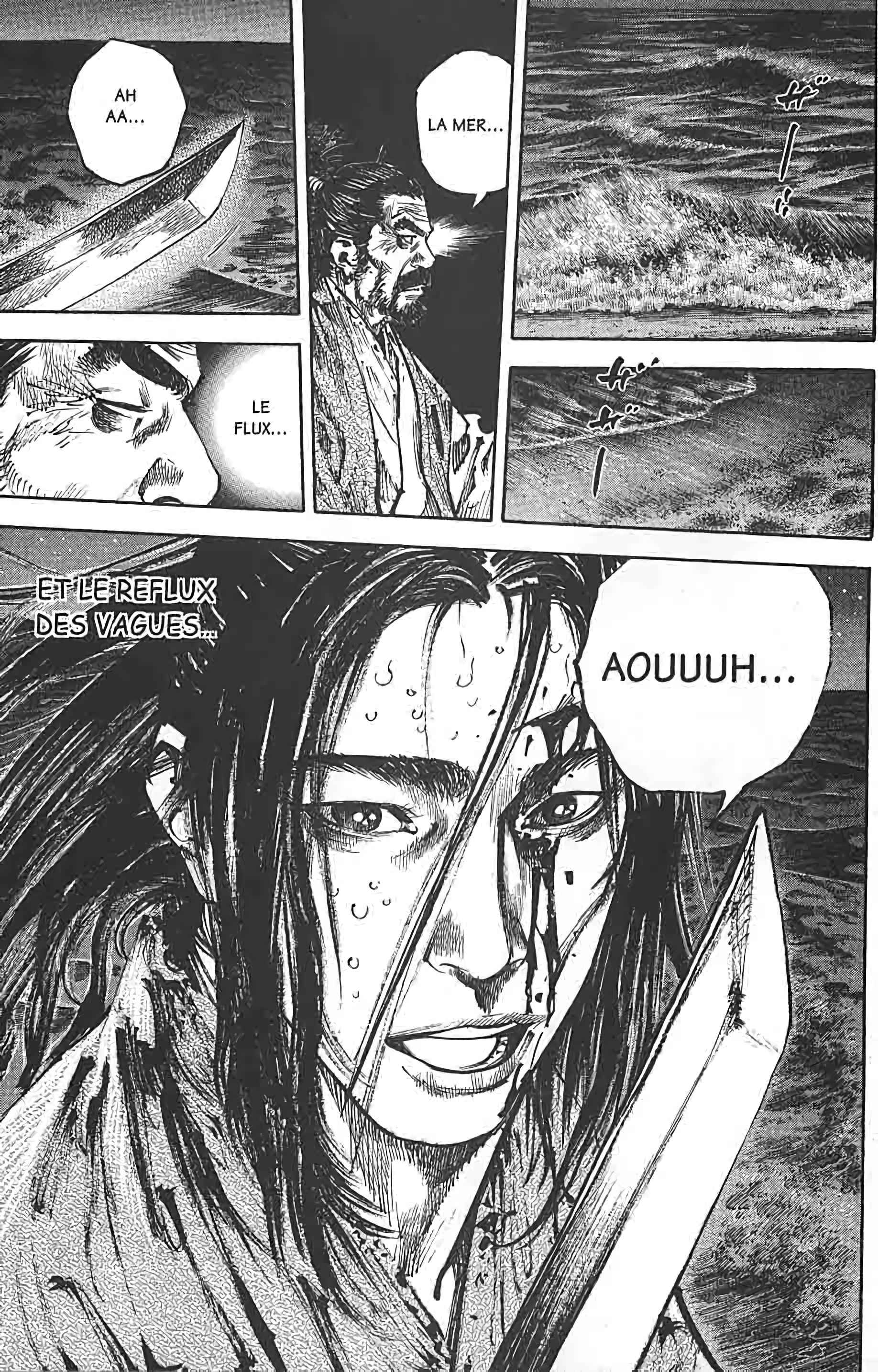 Read Vagabond FR Manga Online