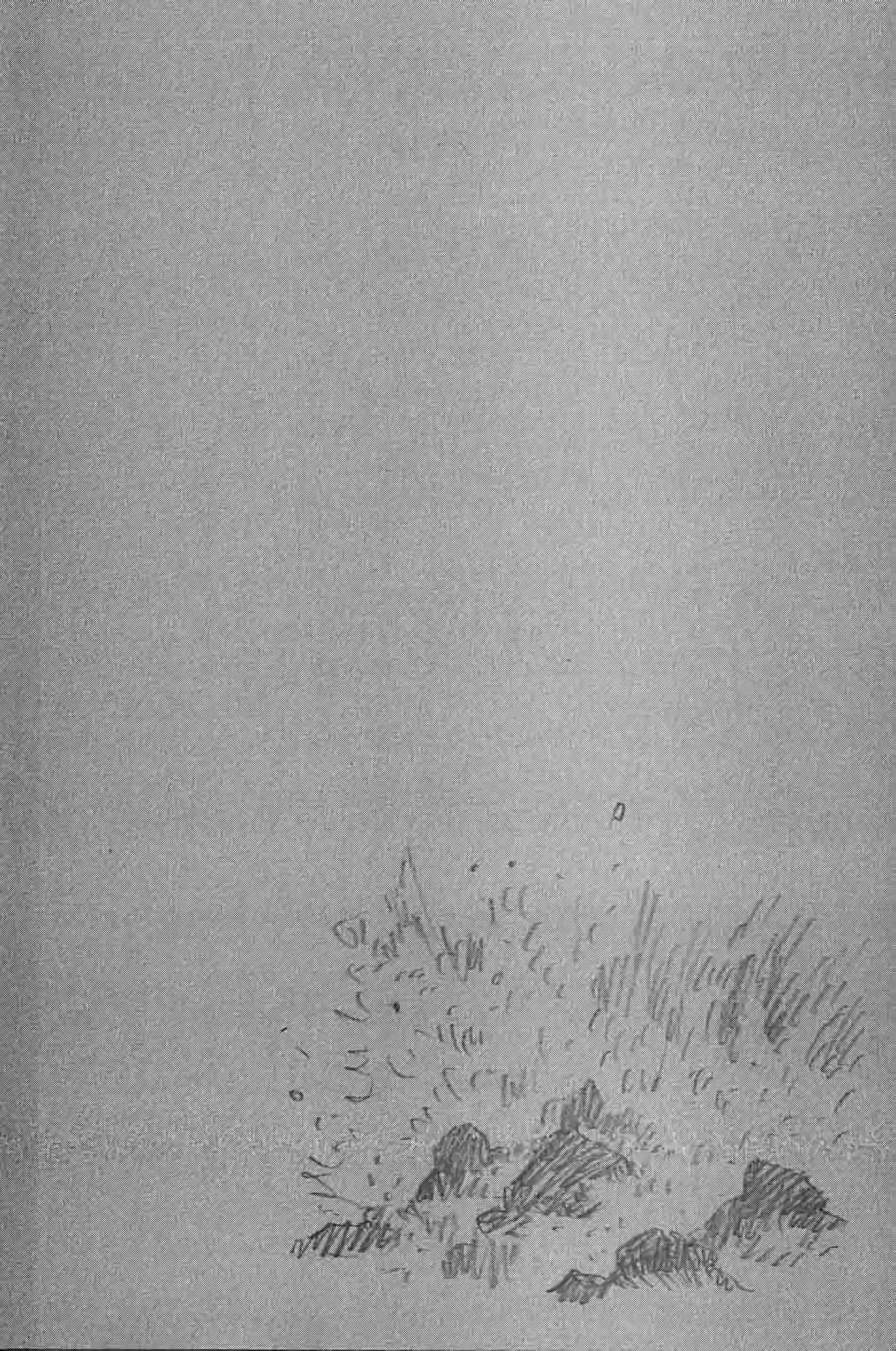 Read Vagabond FR Manga Online