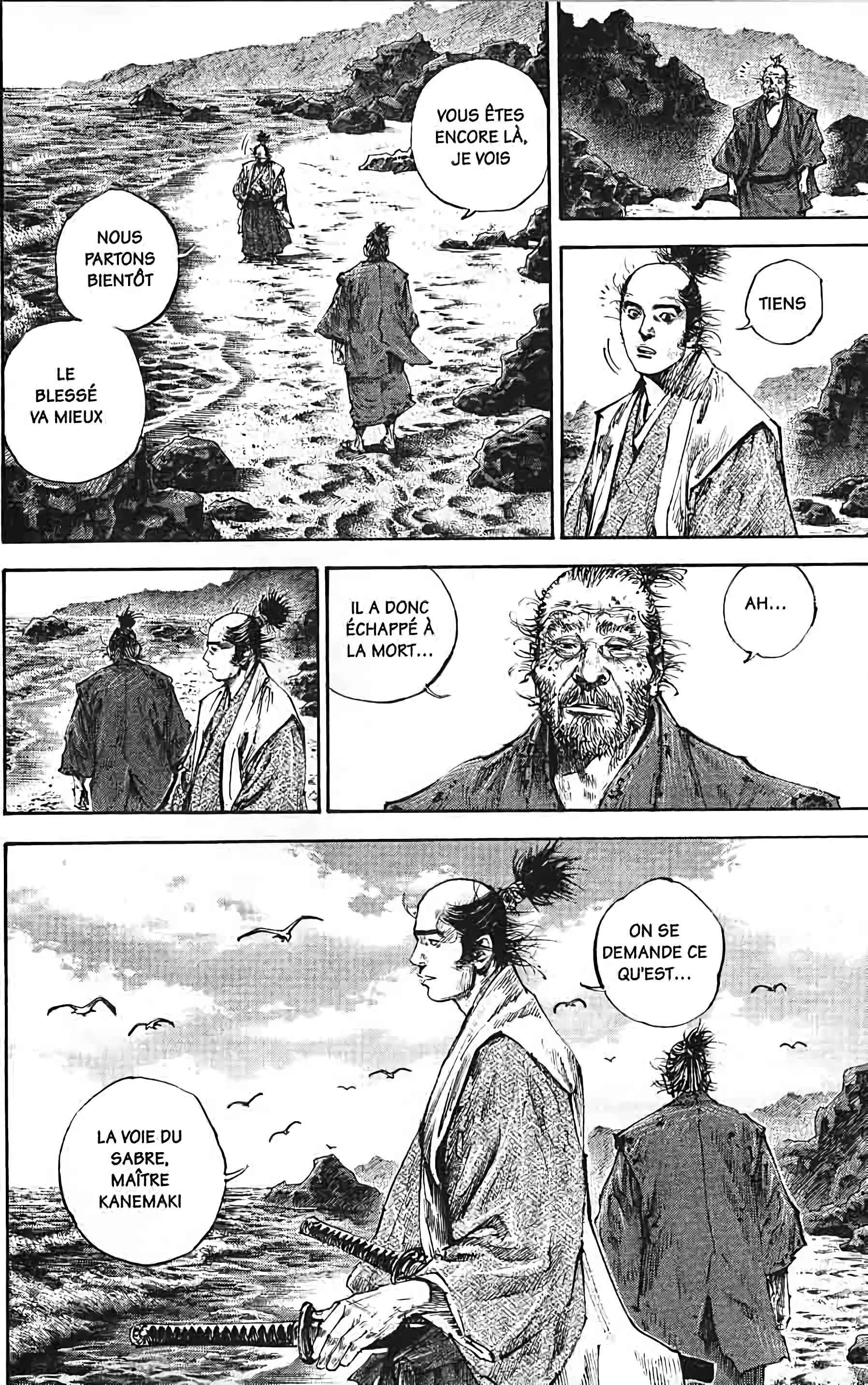 Read Vagabond FR Manga Online