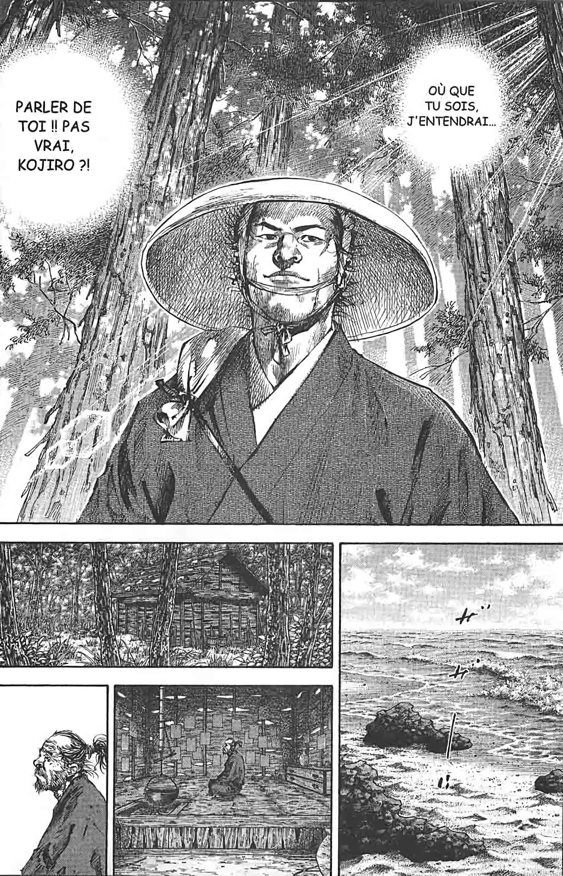 Read Vagabond FR Manga Online