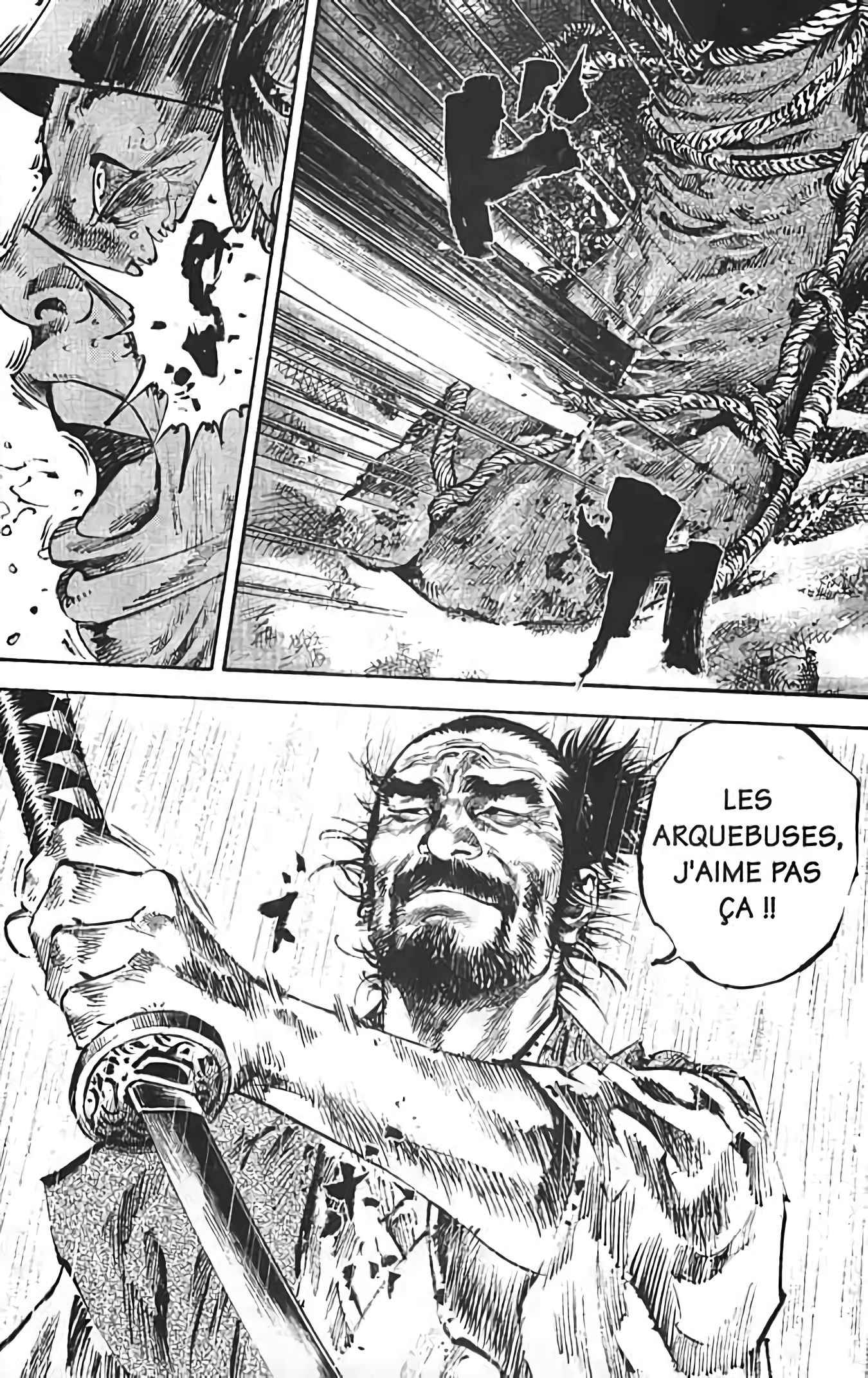 Read Vagabond FR Manga Online