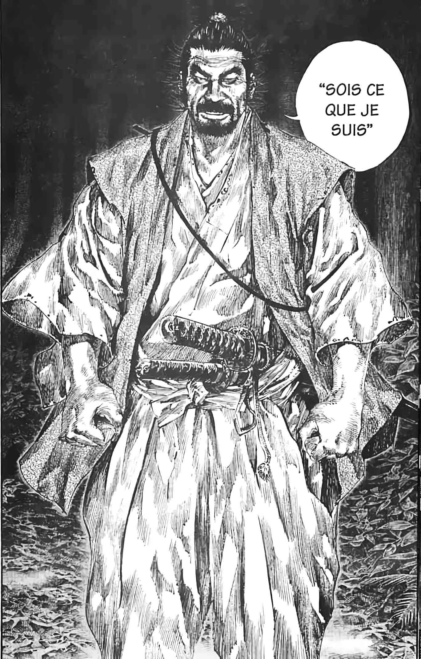 Read Vagabond FR Manga Online