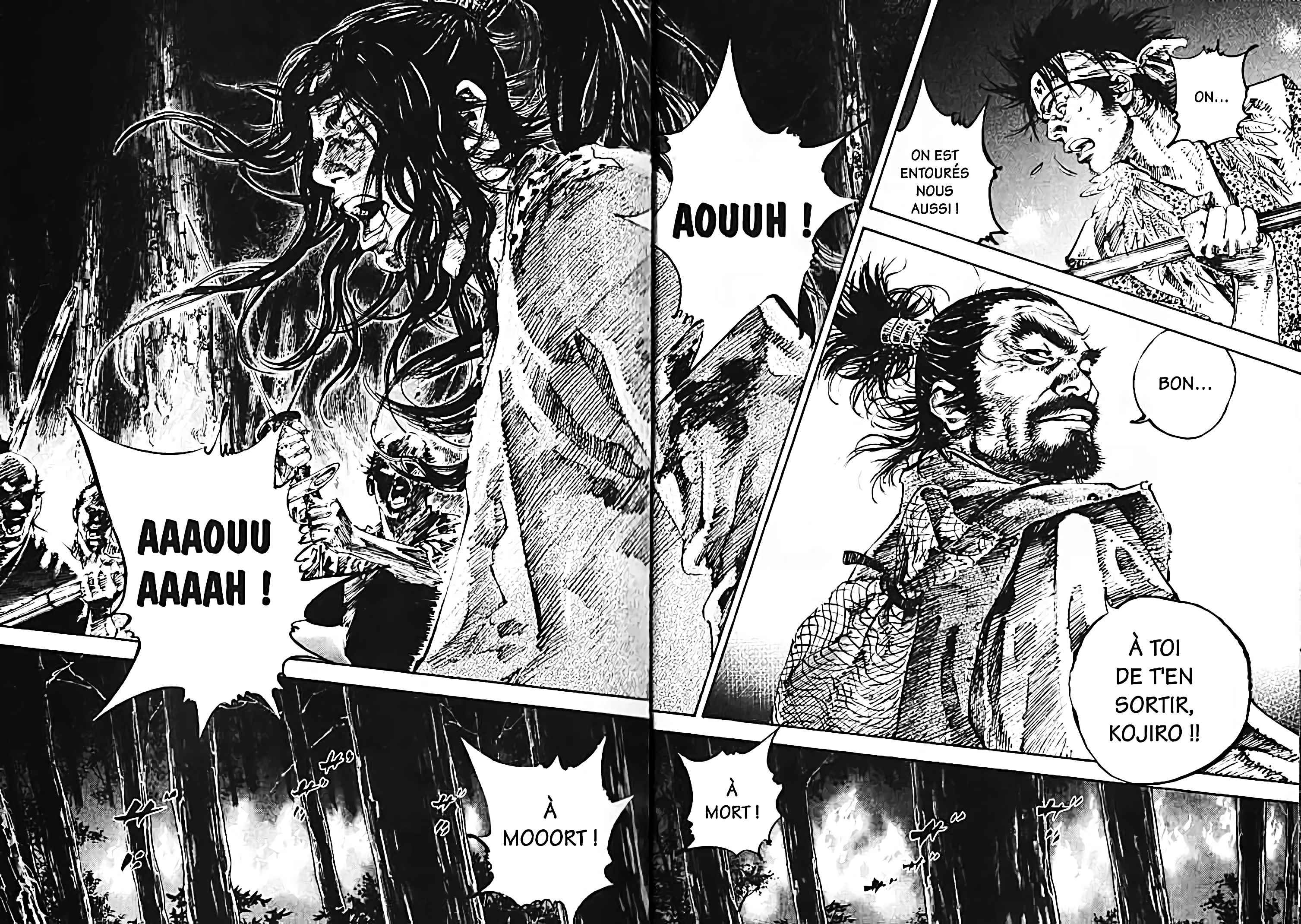 Read Vagabond FR Manga Online