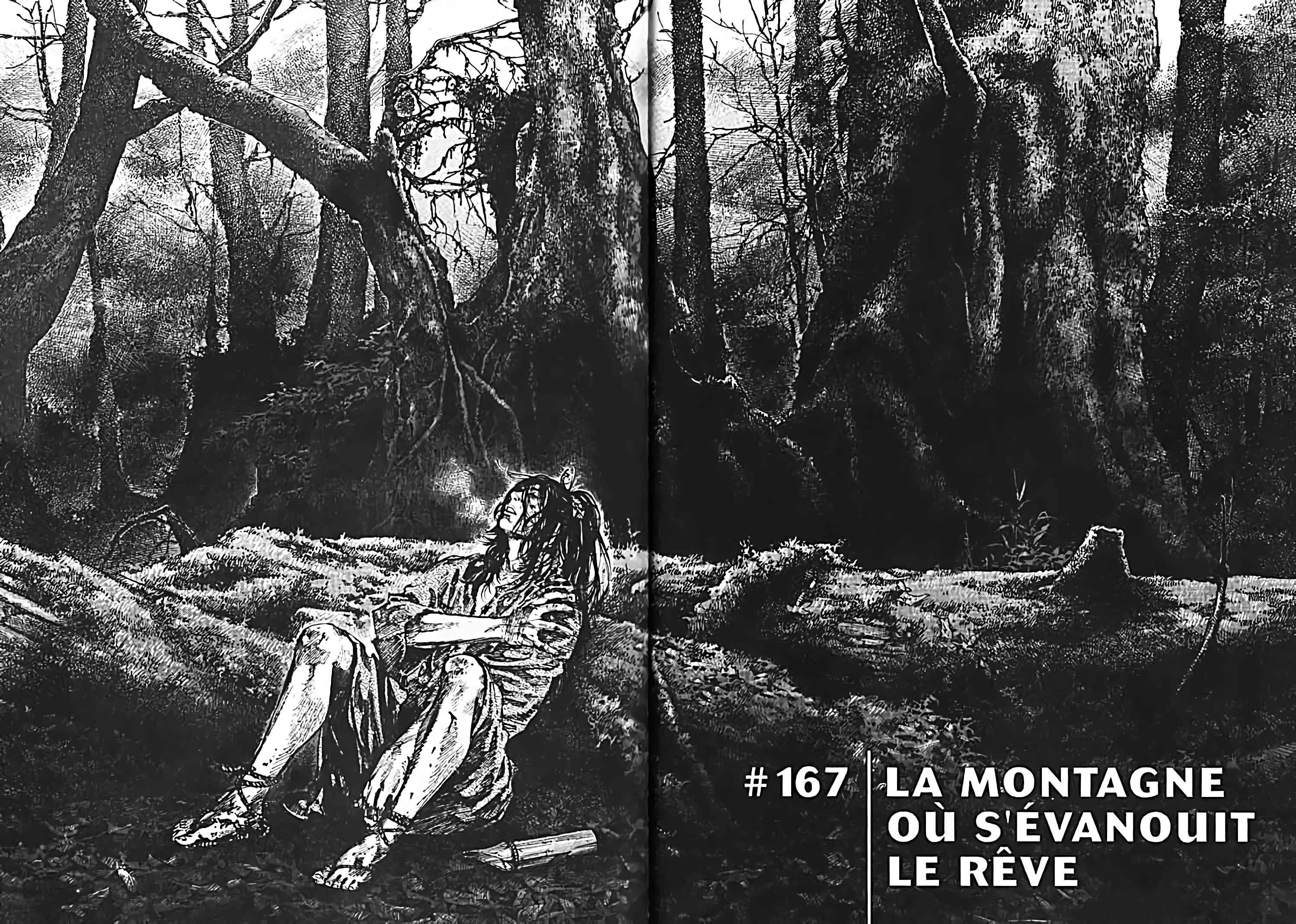 Read Vagabond FR Manga Online