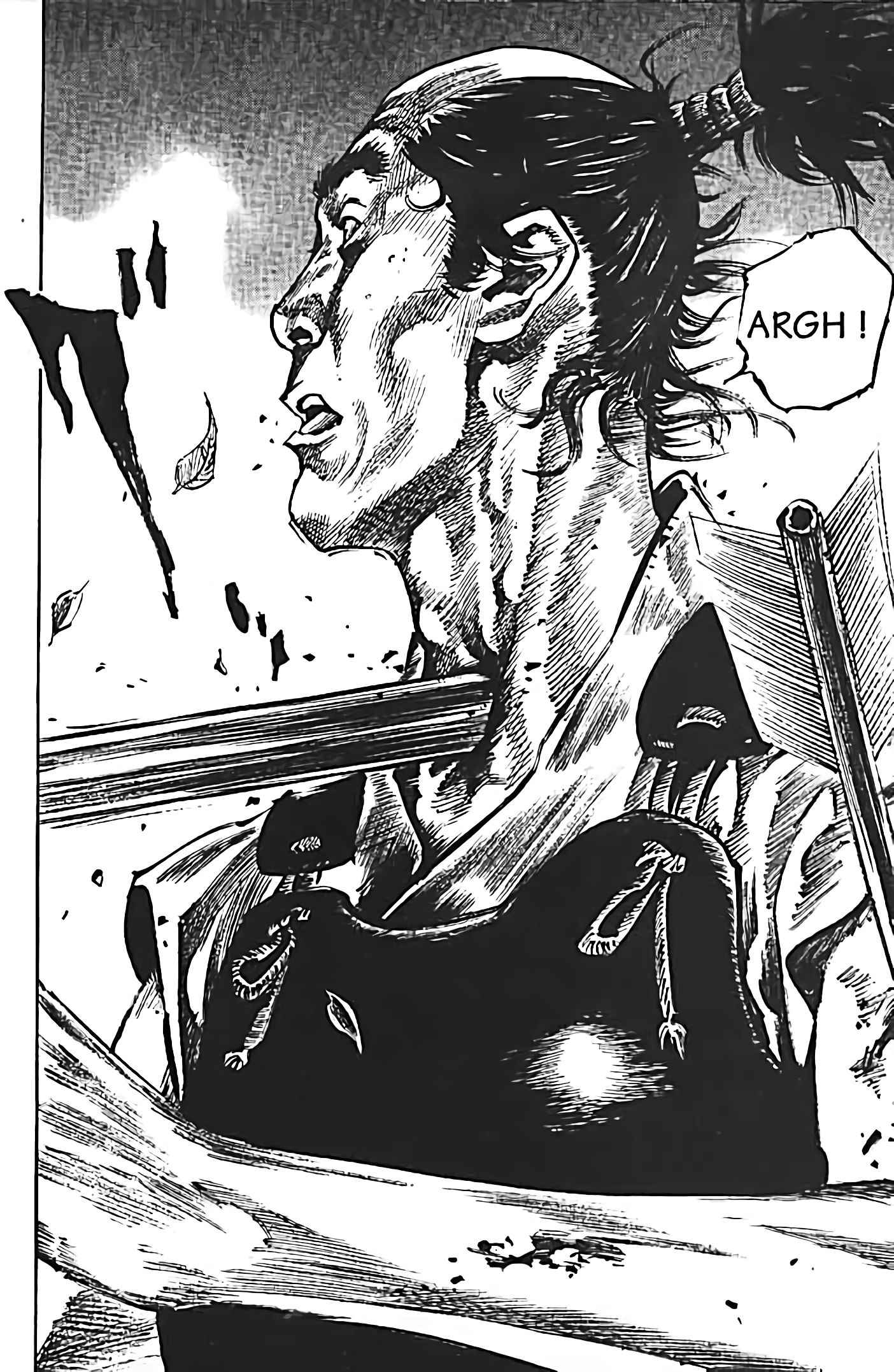 Read Vagabond FR Manga Online