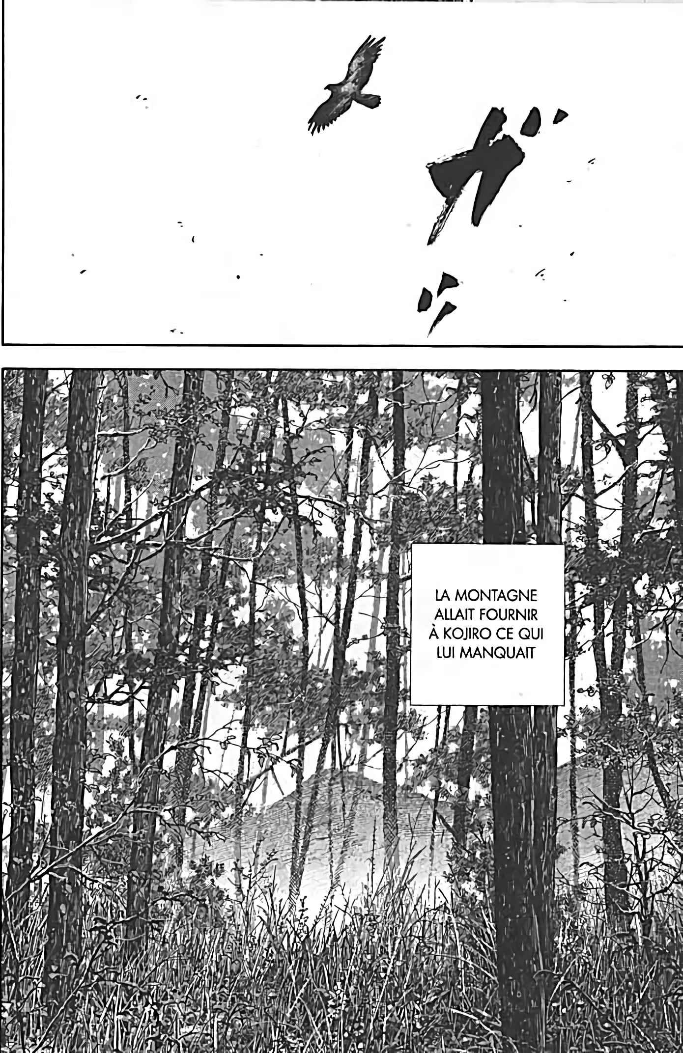 Read Vagabond FR Manga Online