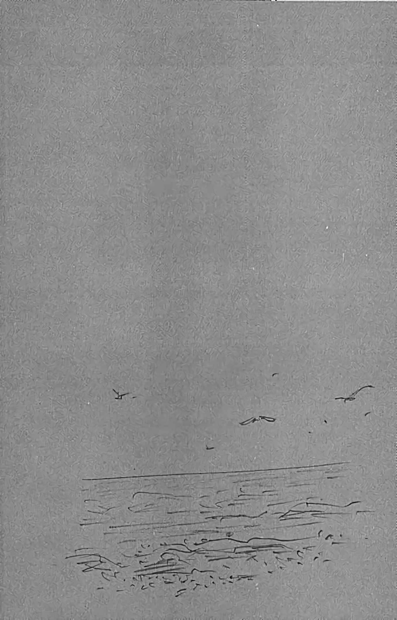 Read Vagabond FR Manga Online