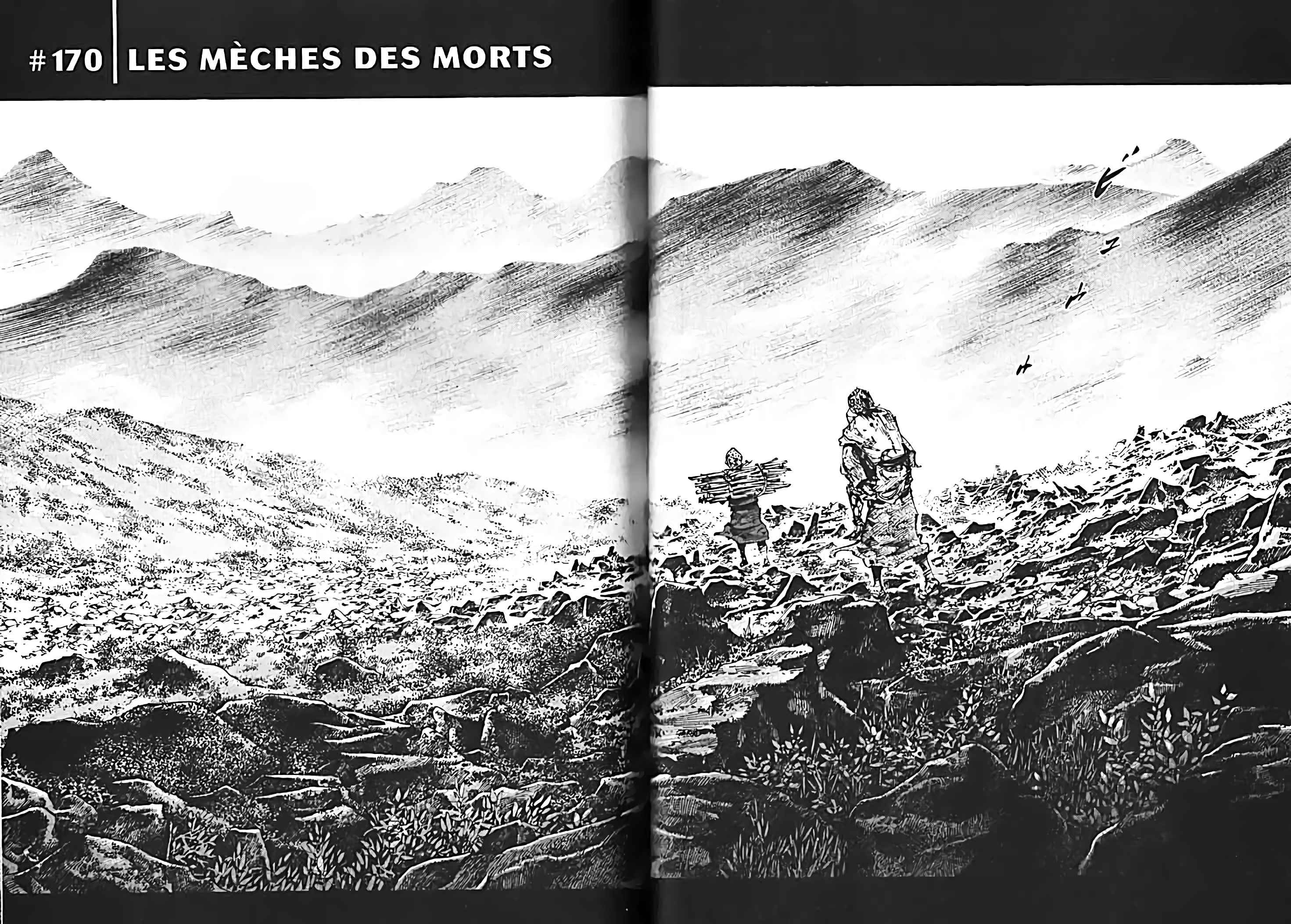 Read Vagabond FR Manga Online