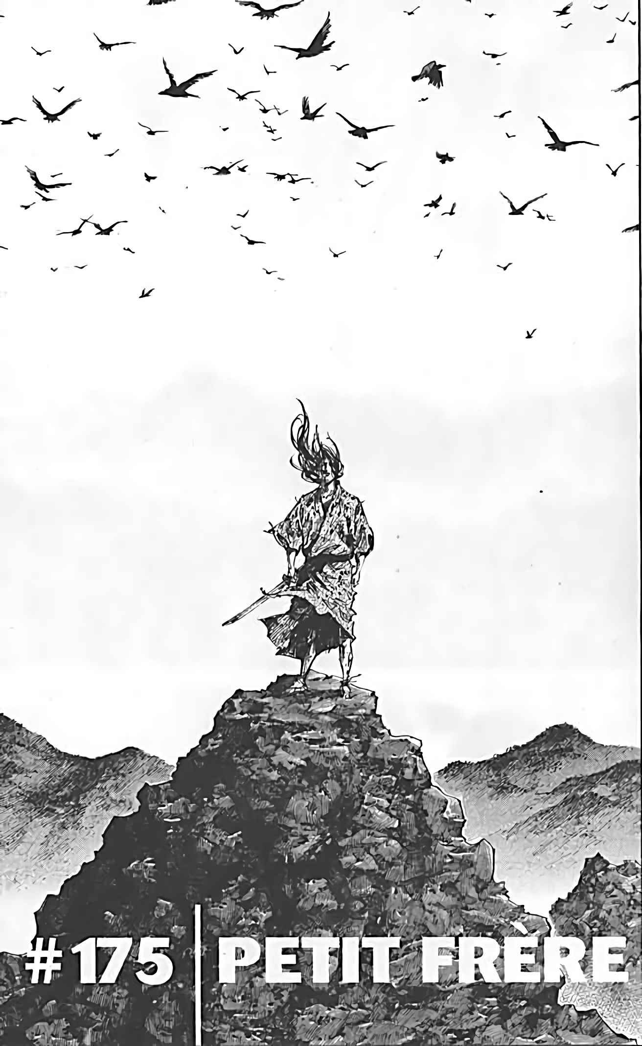 Read Vagabond FR Manga Online