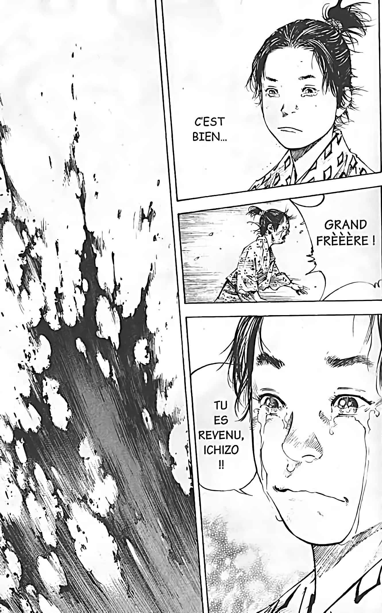 Read Vagabond FR Manga Online