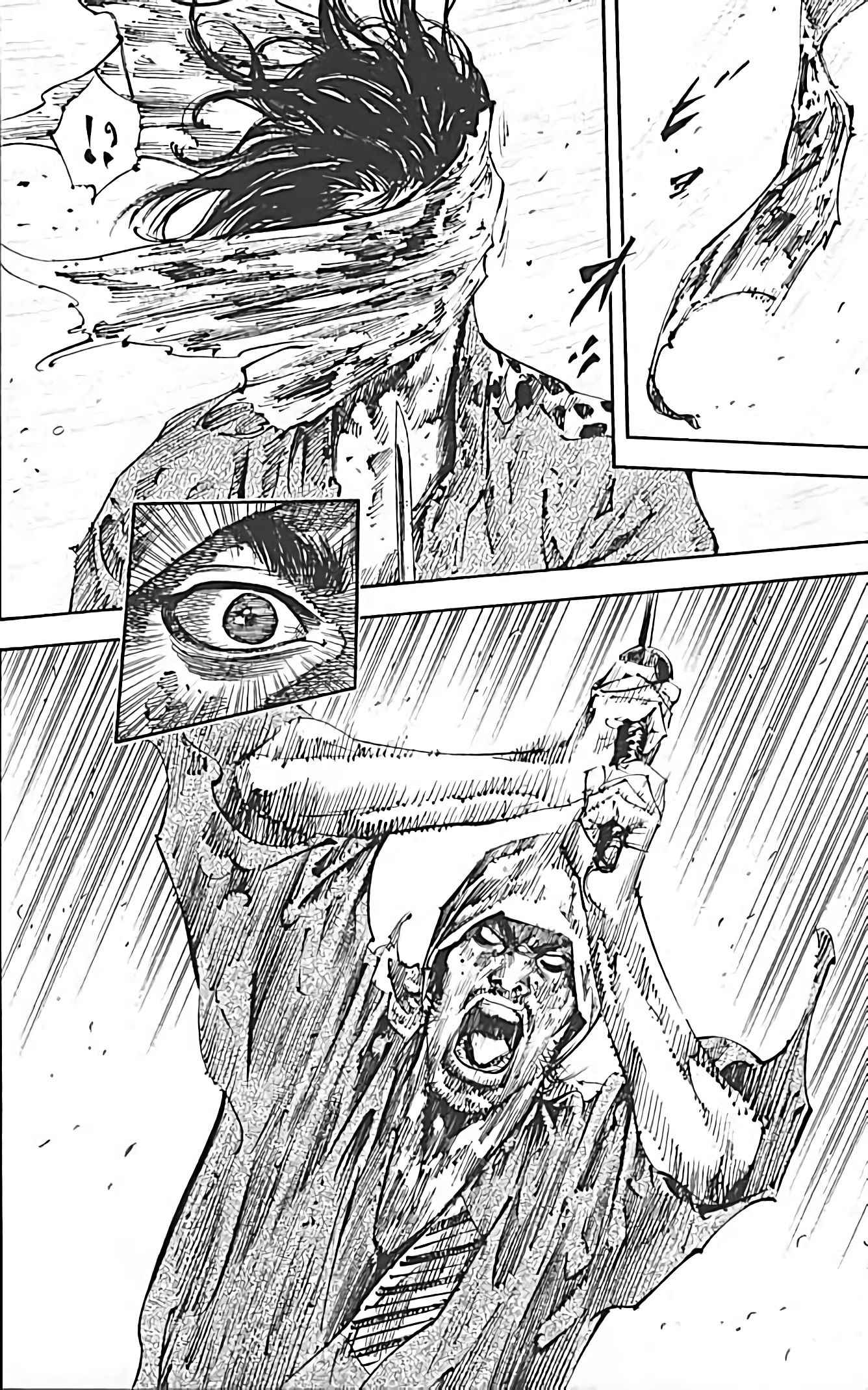 Read Vagabond FR Manga Online