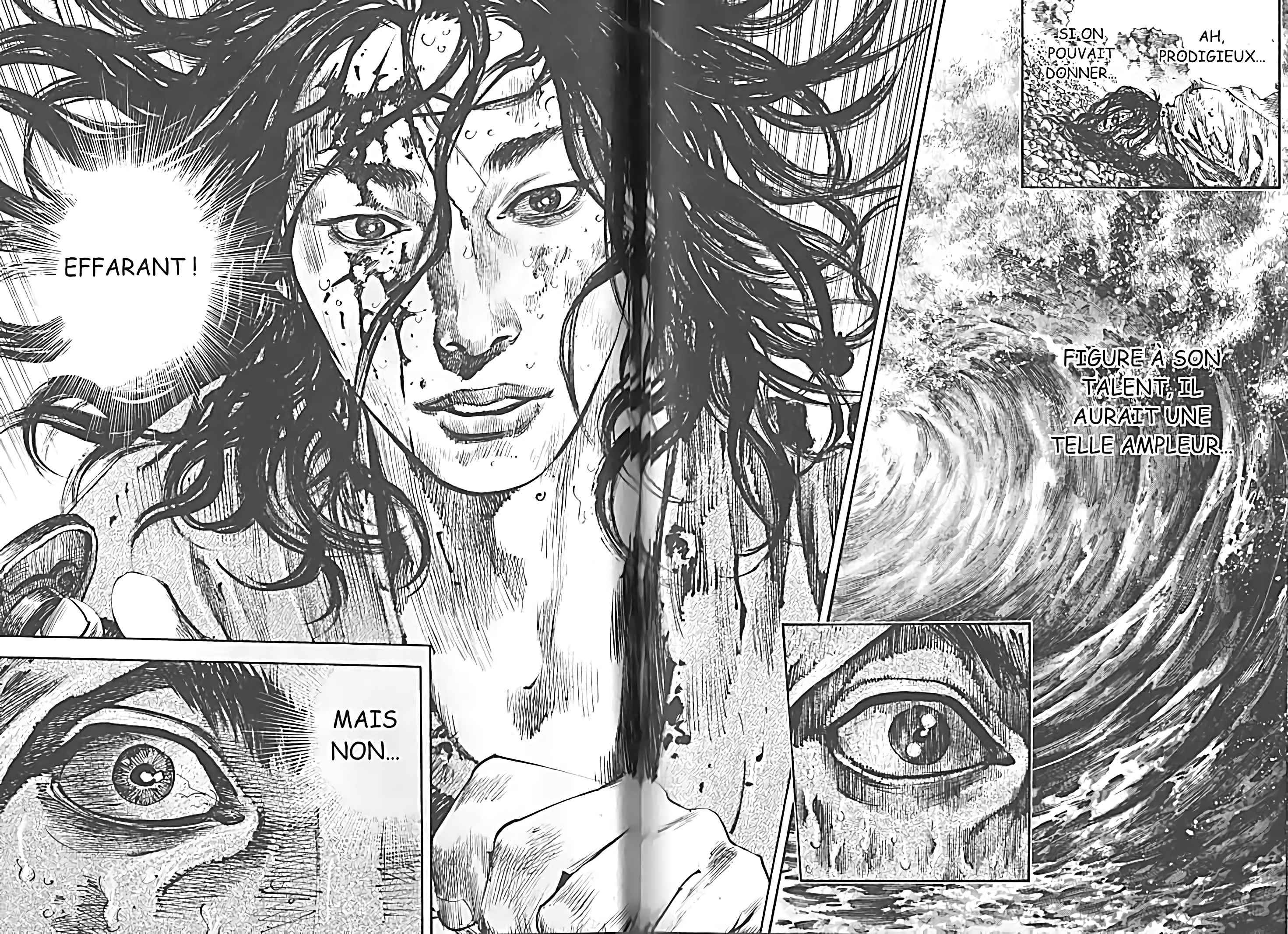Read Vagabond FR Manga Online