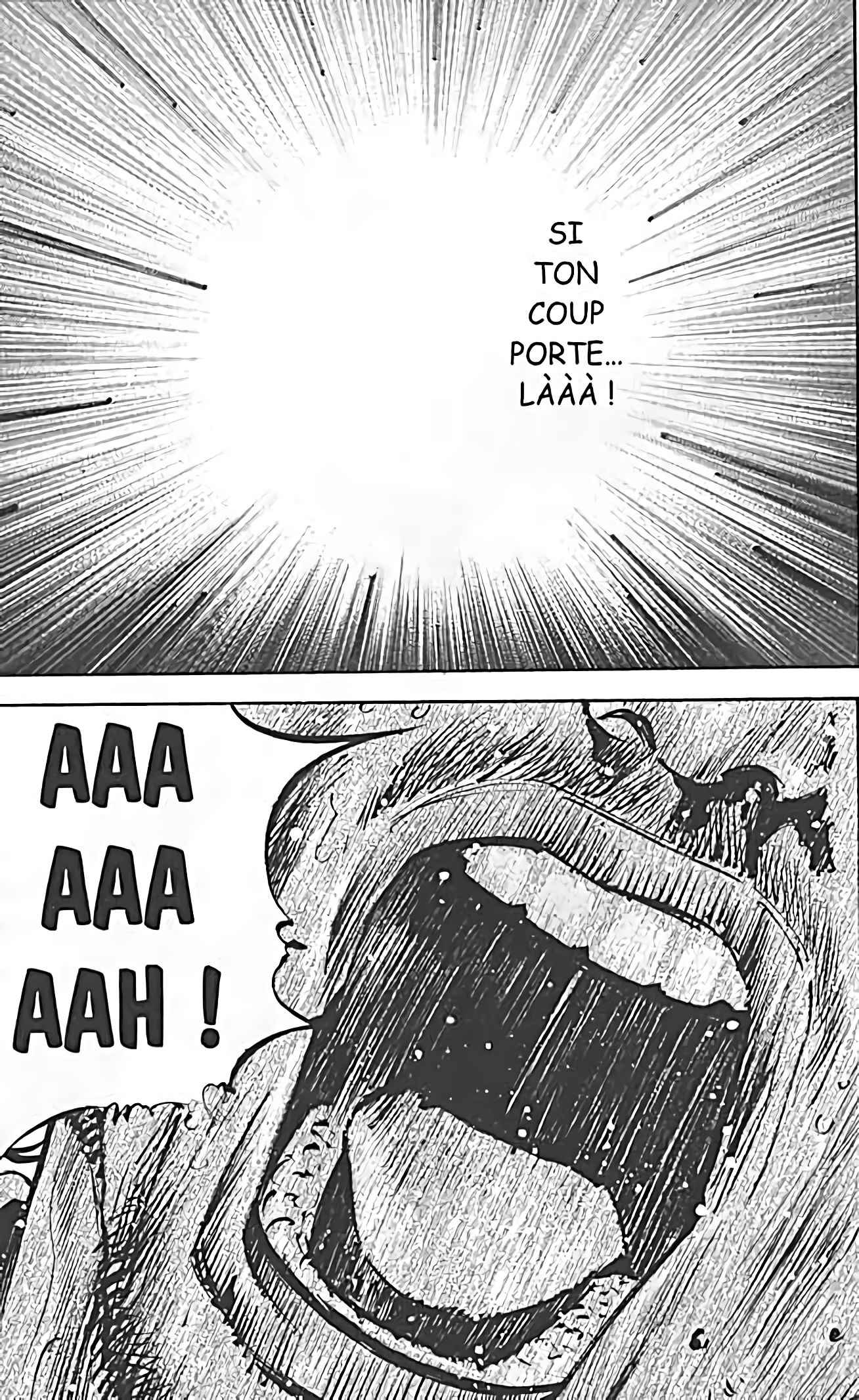 Read Vagabond FR Manga Online