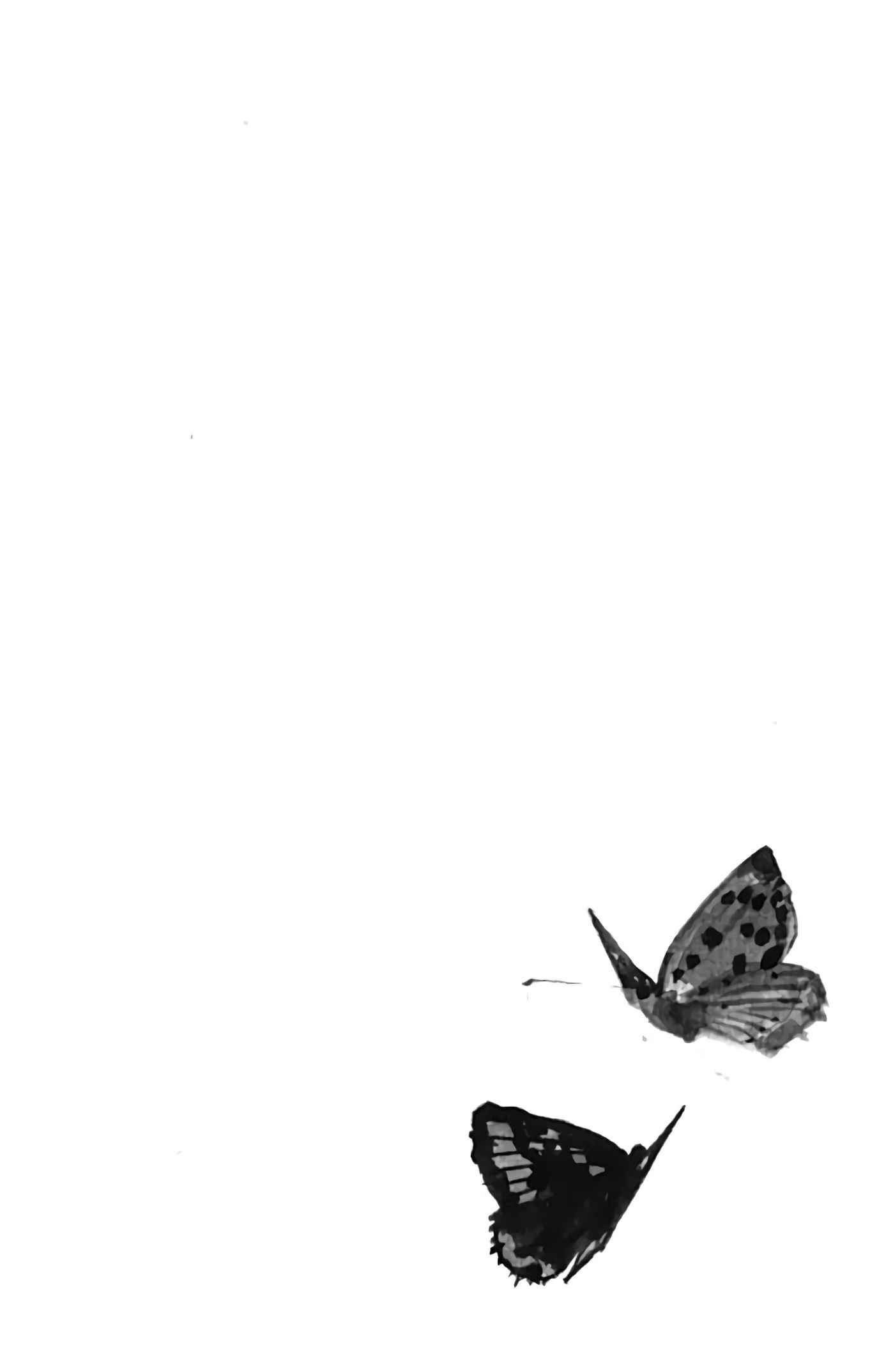 Read Vagabond FR Manga Online