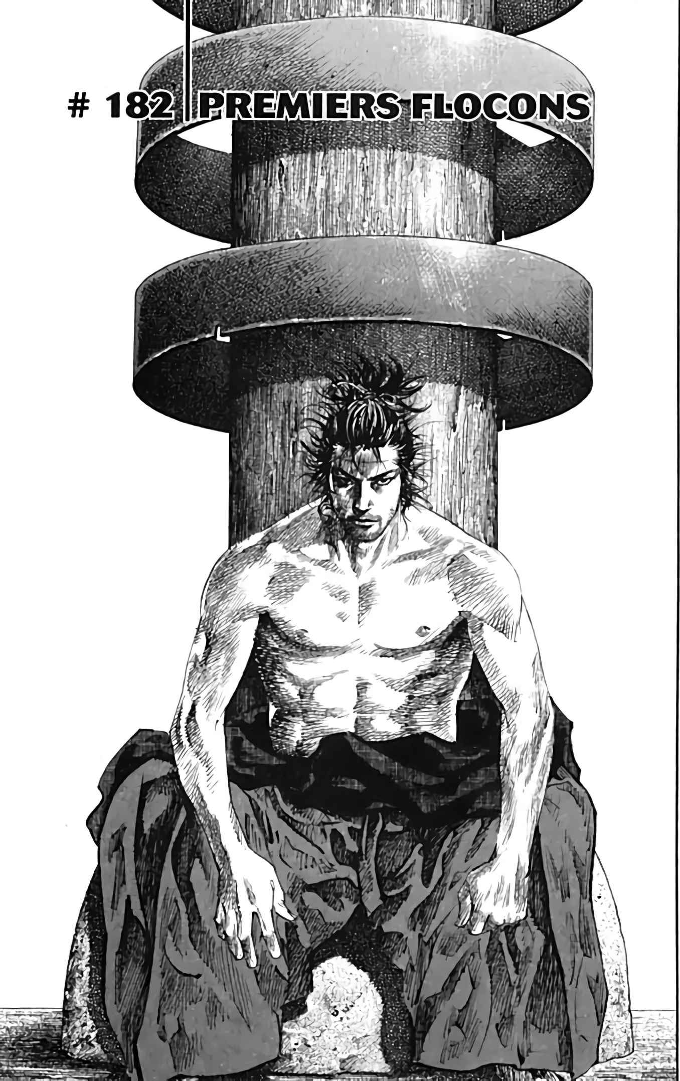 Read Vagabond FR Manga Online