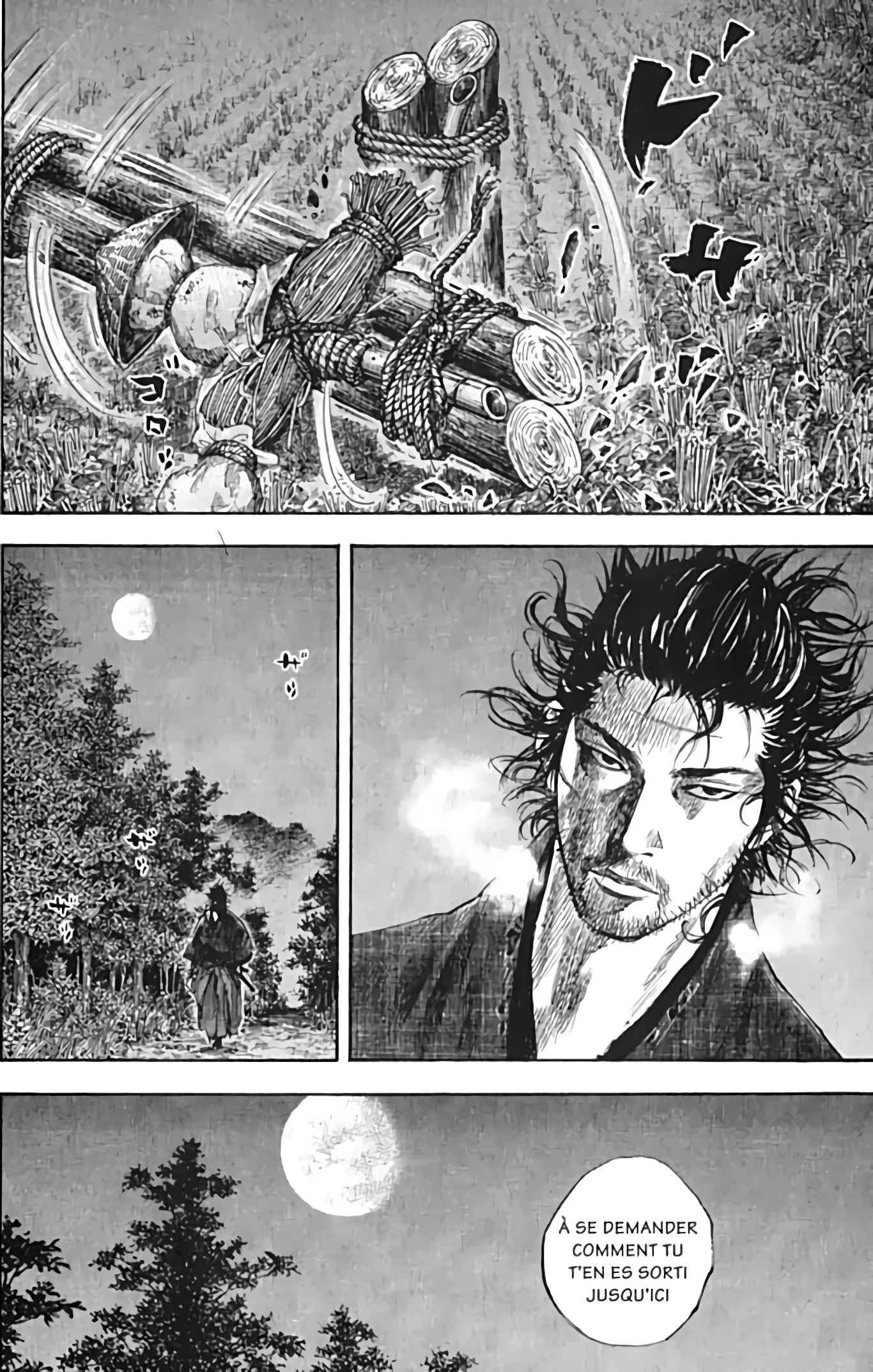 Read Vagabond FR Manga Online