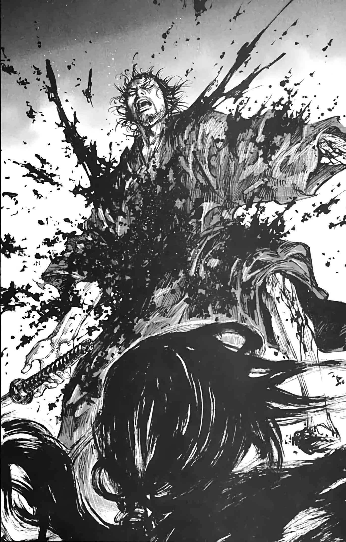 Read Vagabond FR Manga Online