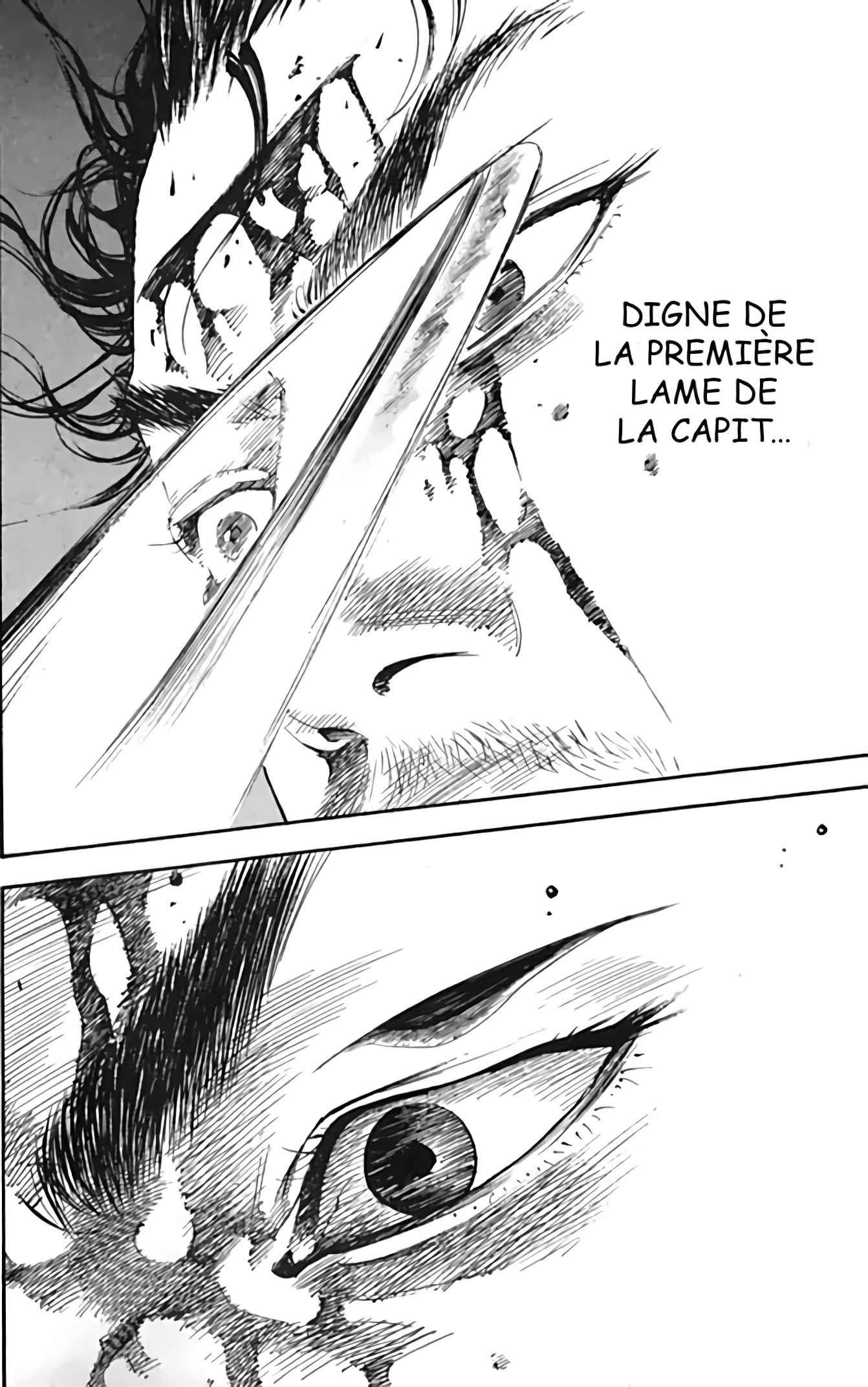 Read Vagabond FR Manga Online