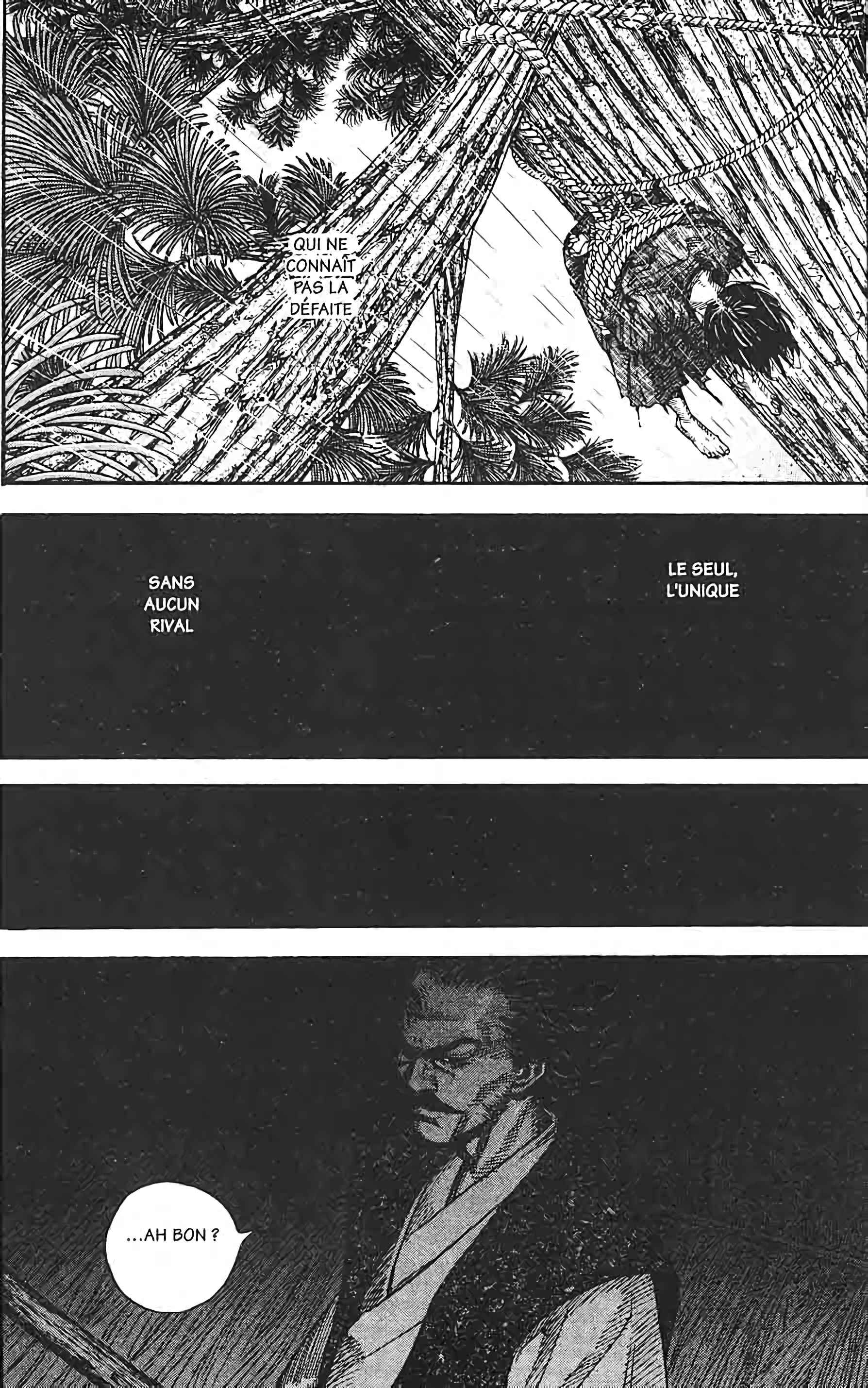 Read Vagabond FR Manga Online