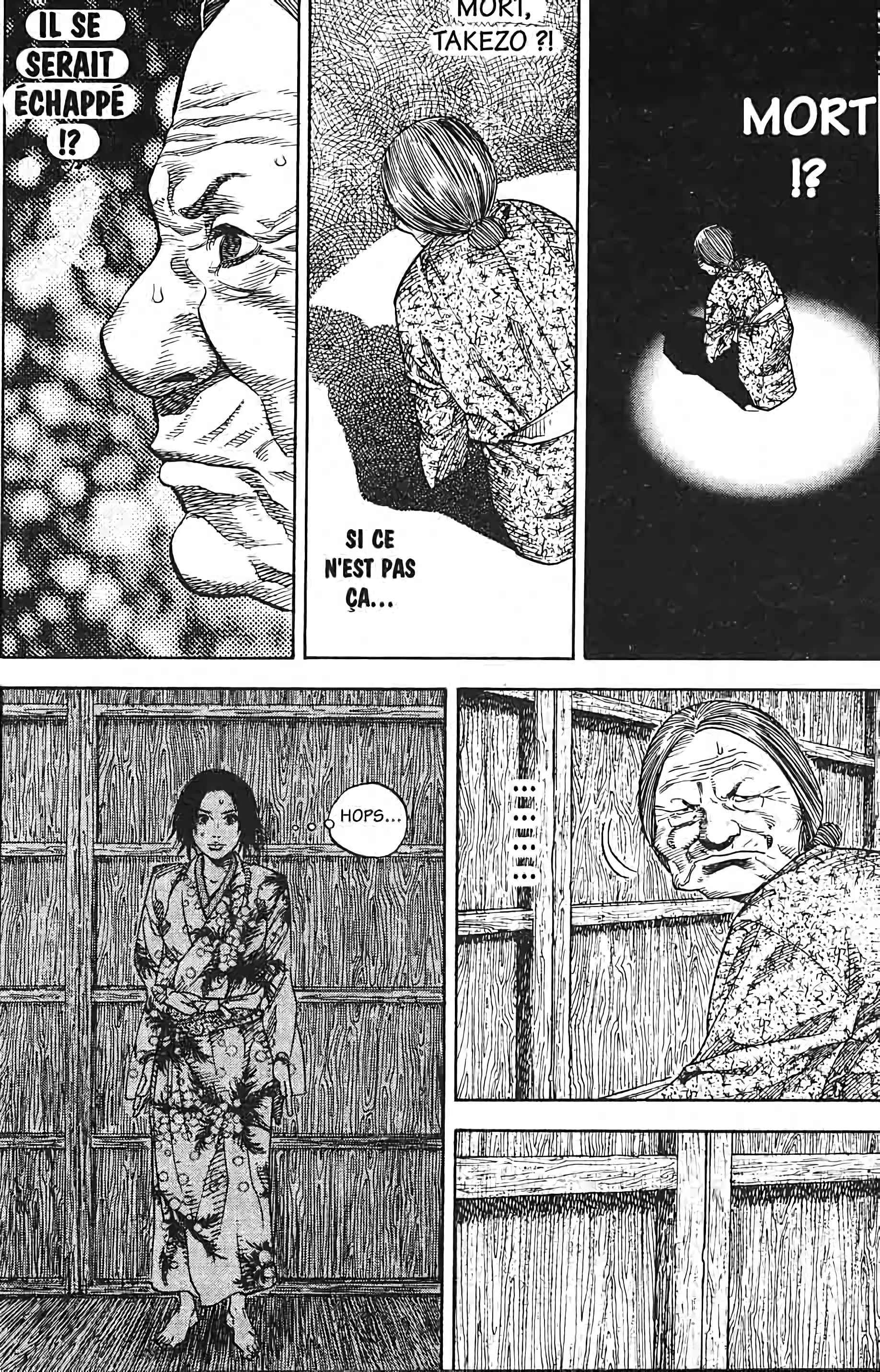 Read Vagabond FR Manga Online