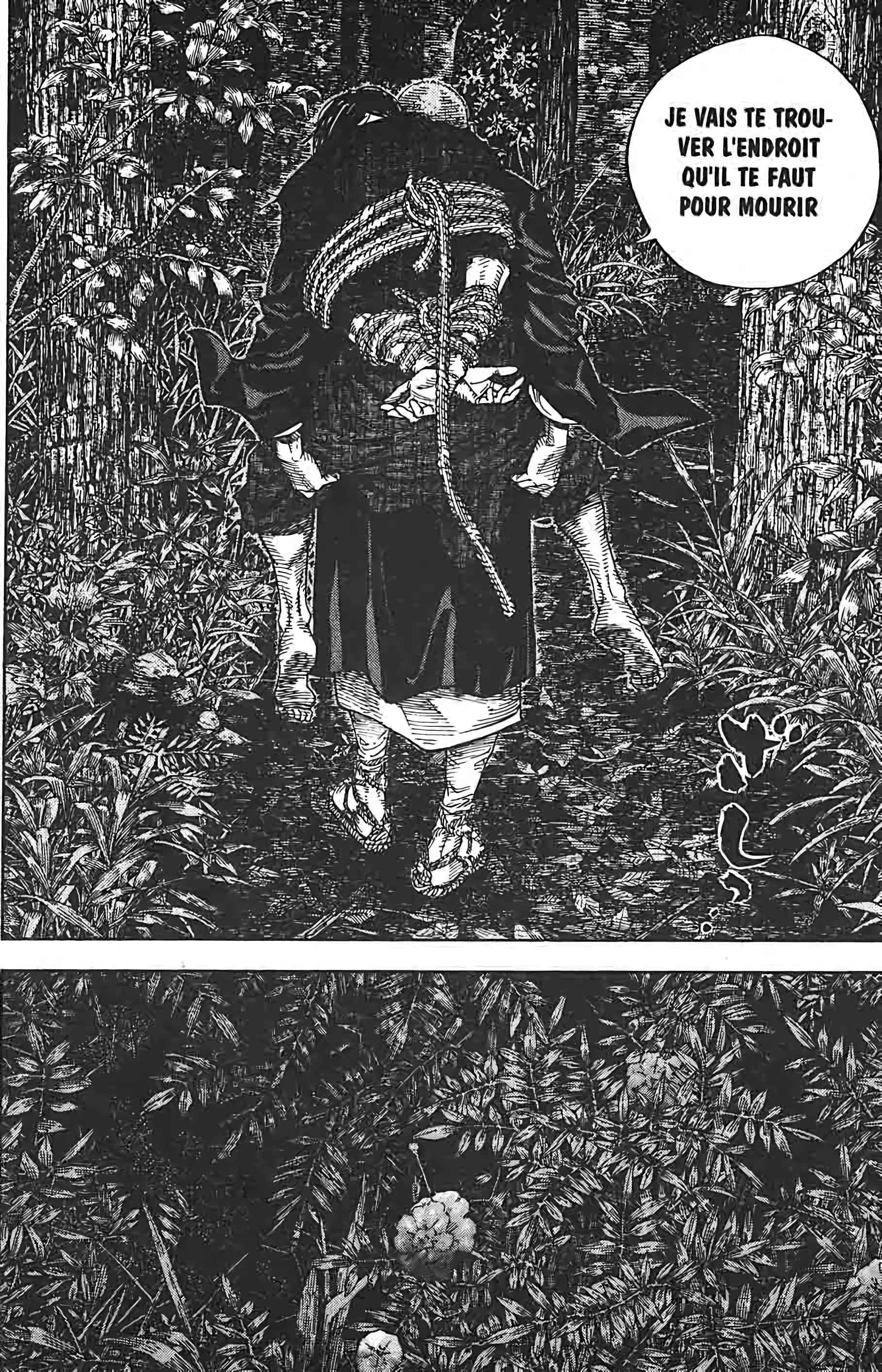 Read Vagabond FR Manga Online