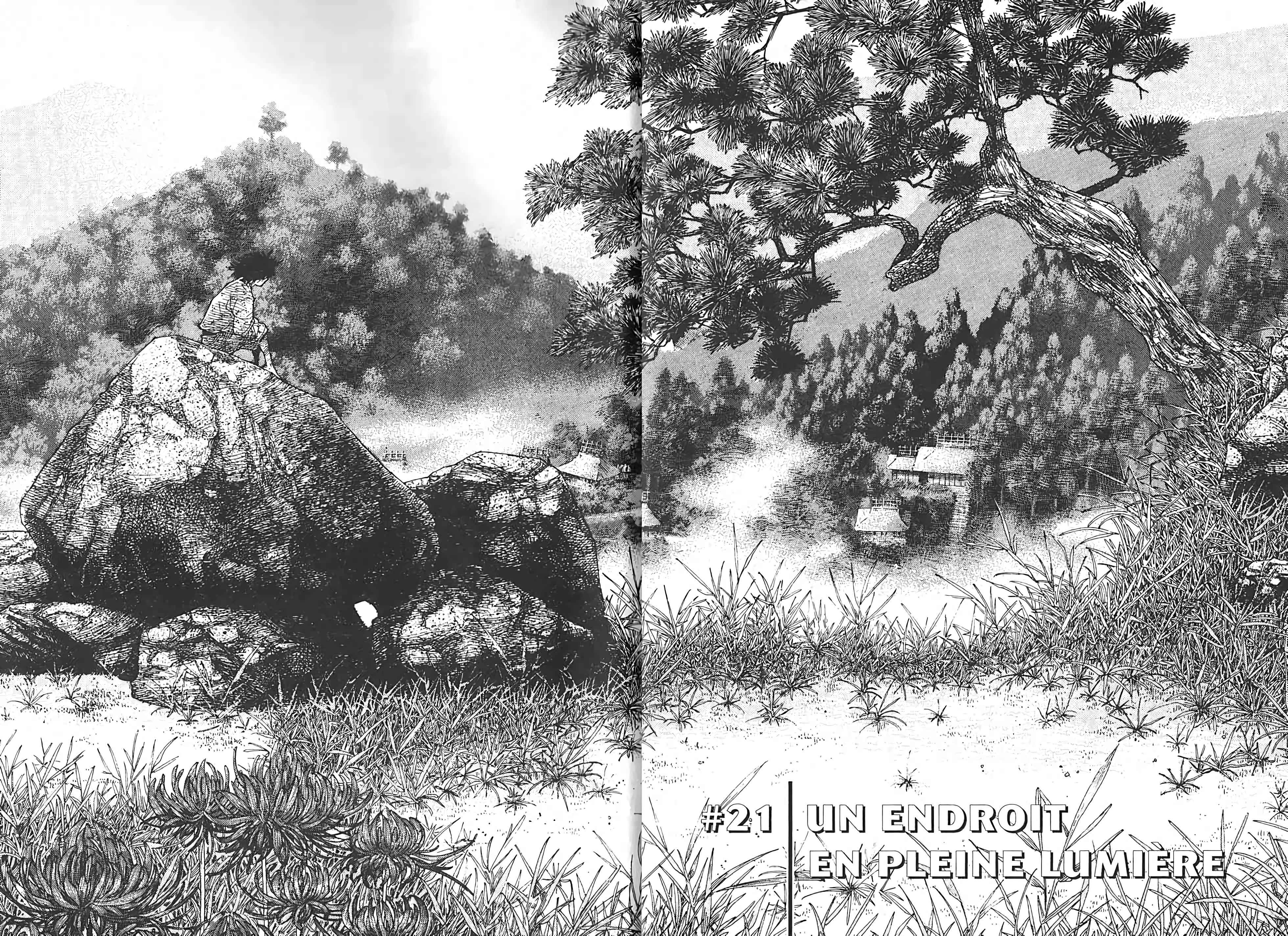 Read Vagabond FR Manga Online