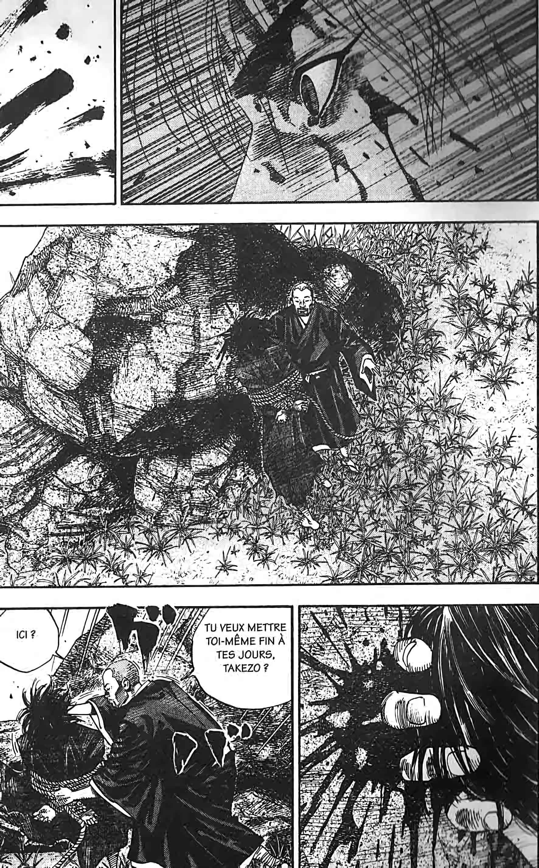 Read Vagabond FR Manga Online
