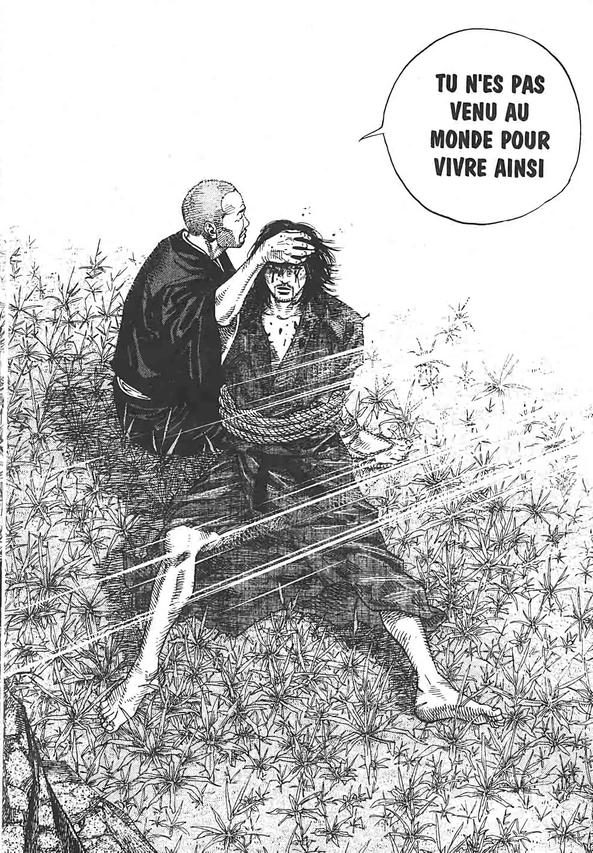 Read Vagabond FR Manga Online