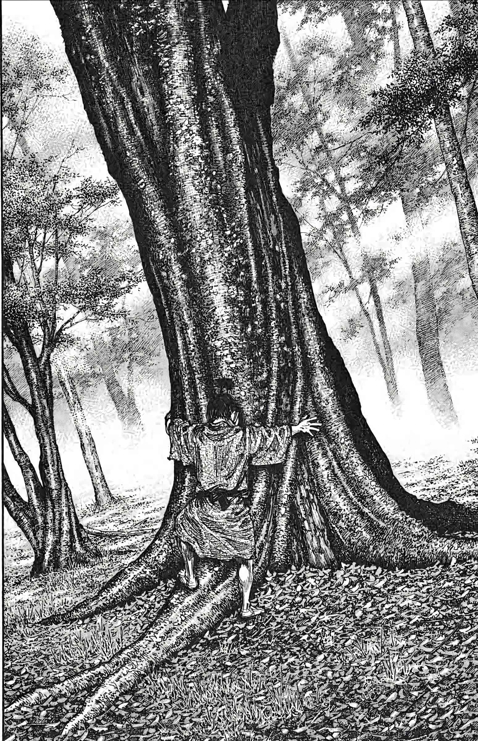 Read Vagabond FR Manga Online