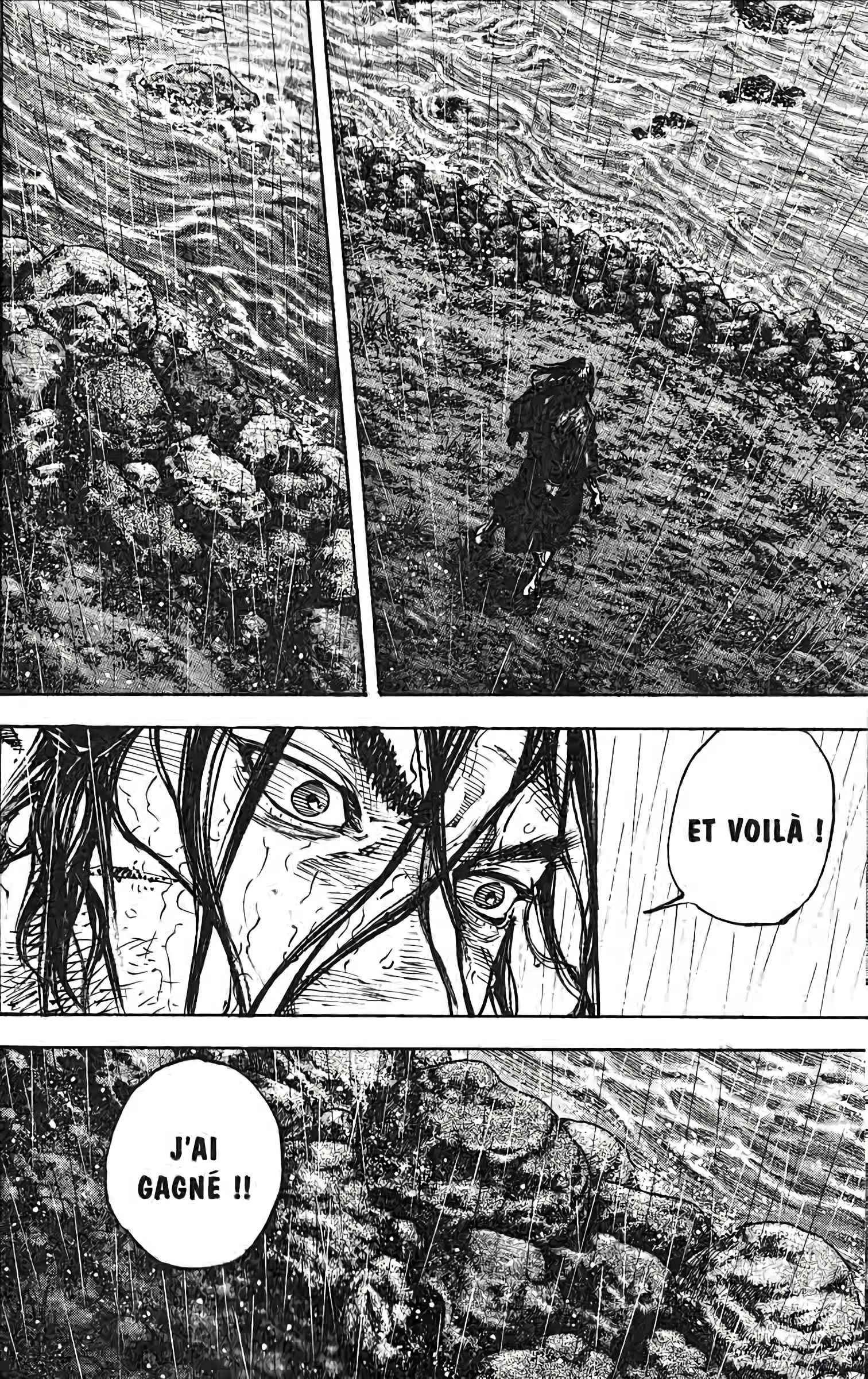 Read Vagabond FR Manga Online