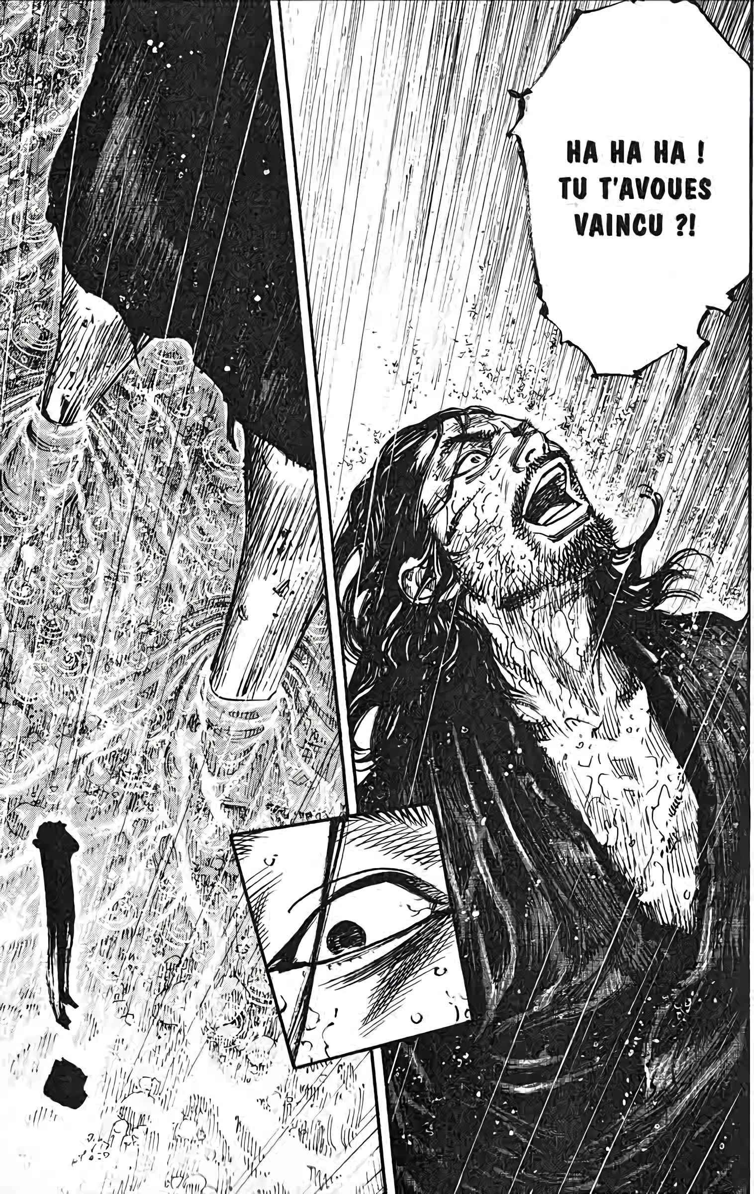 Read Vagabond FR Manga Online