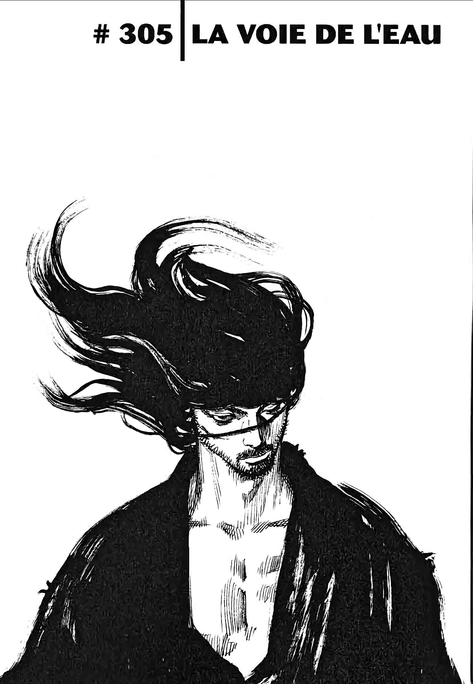 Read Vagabond FR Manga Online