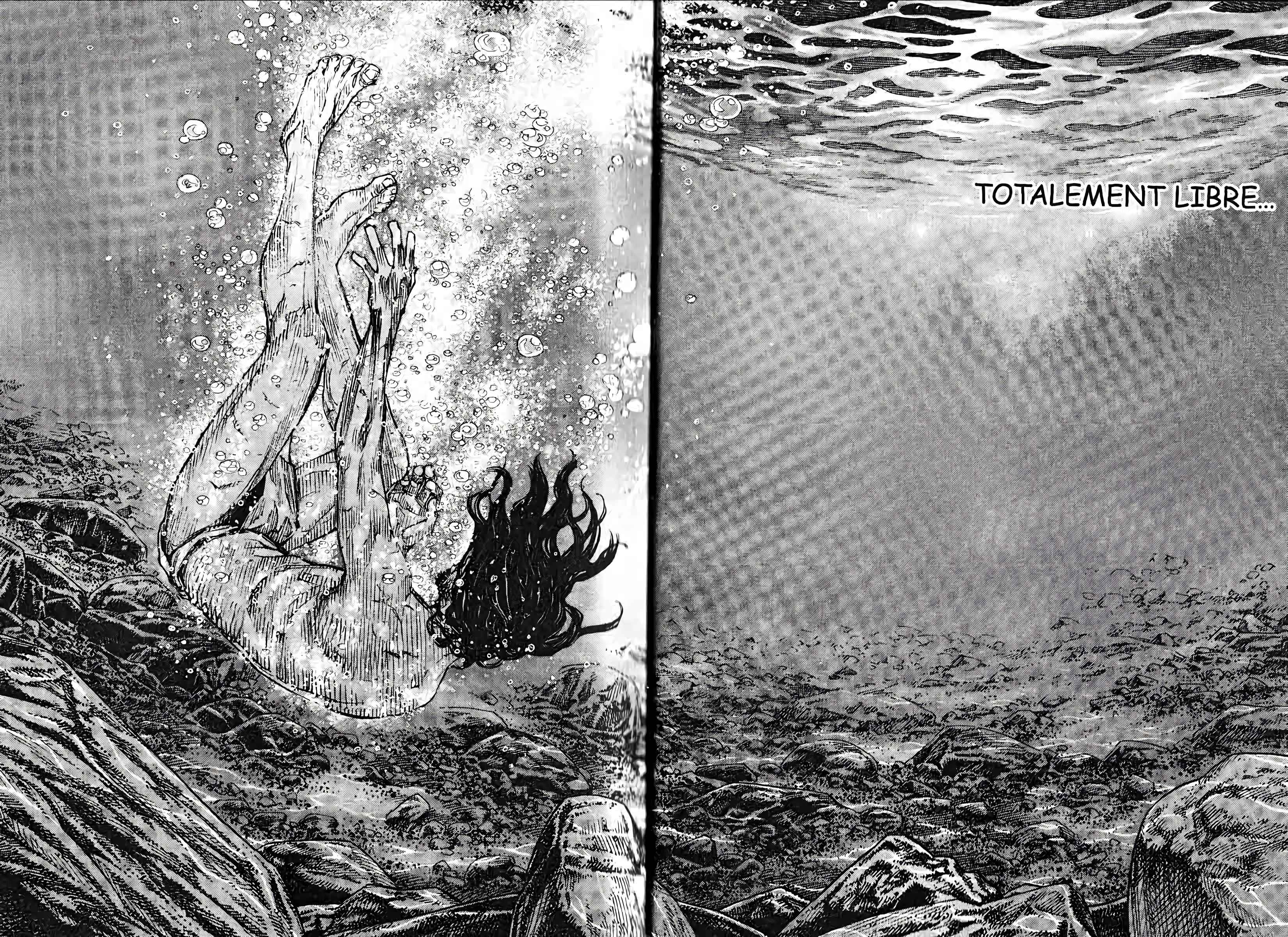 Read Vagabond FR Manga Online